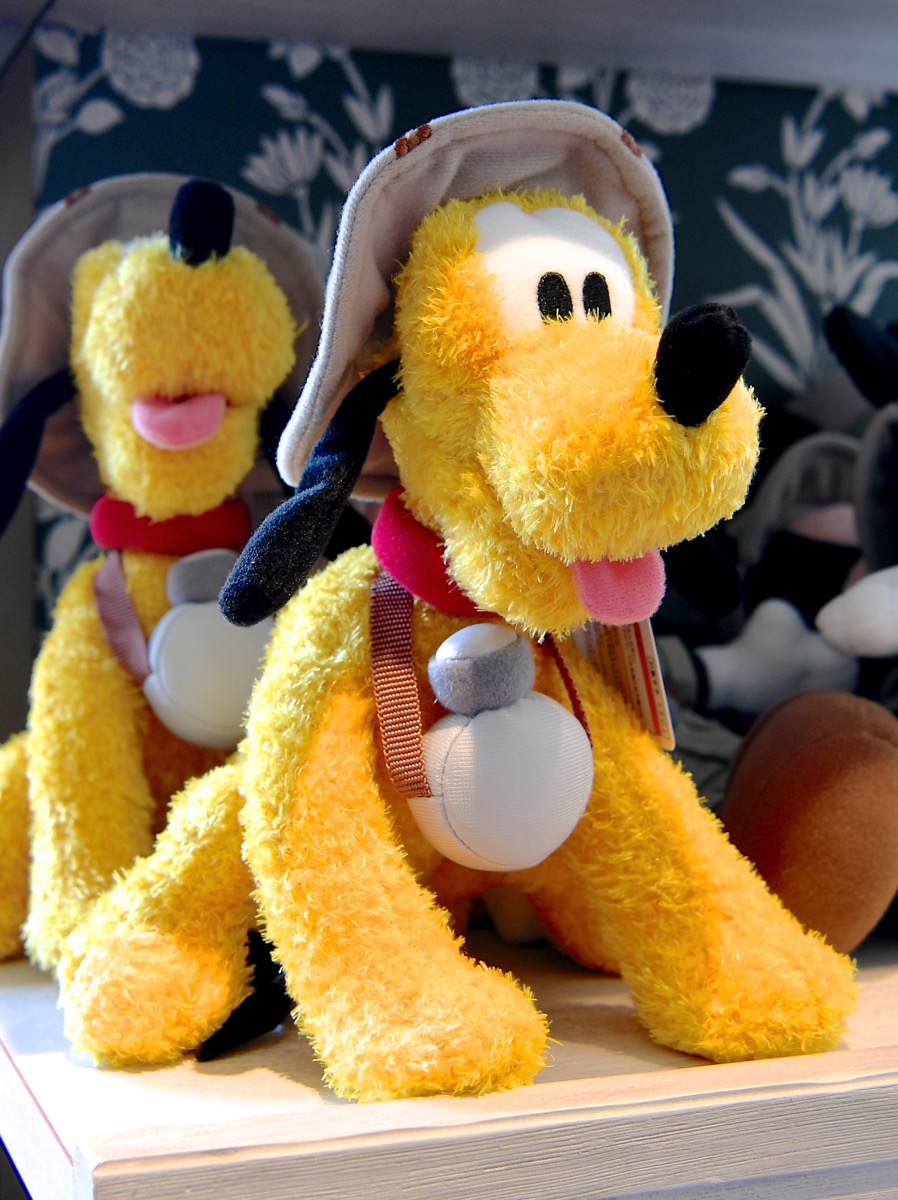 ミッキー&フレンズ・くまのプーさん！東京ディズニーランド 冒険家