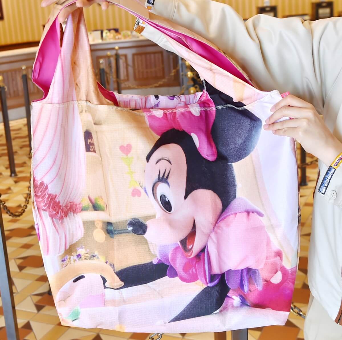 ミニーちゃんたちガールズキャラ！東京ディズニーランド”Imagining the