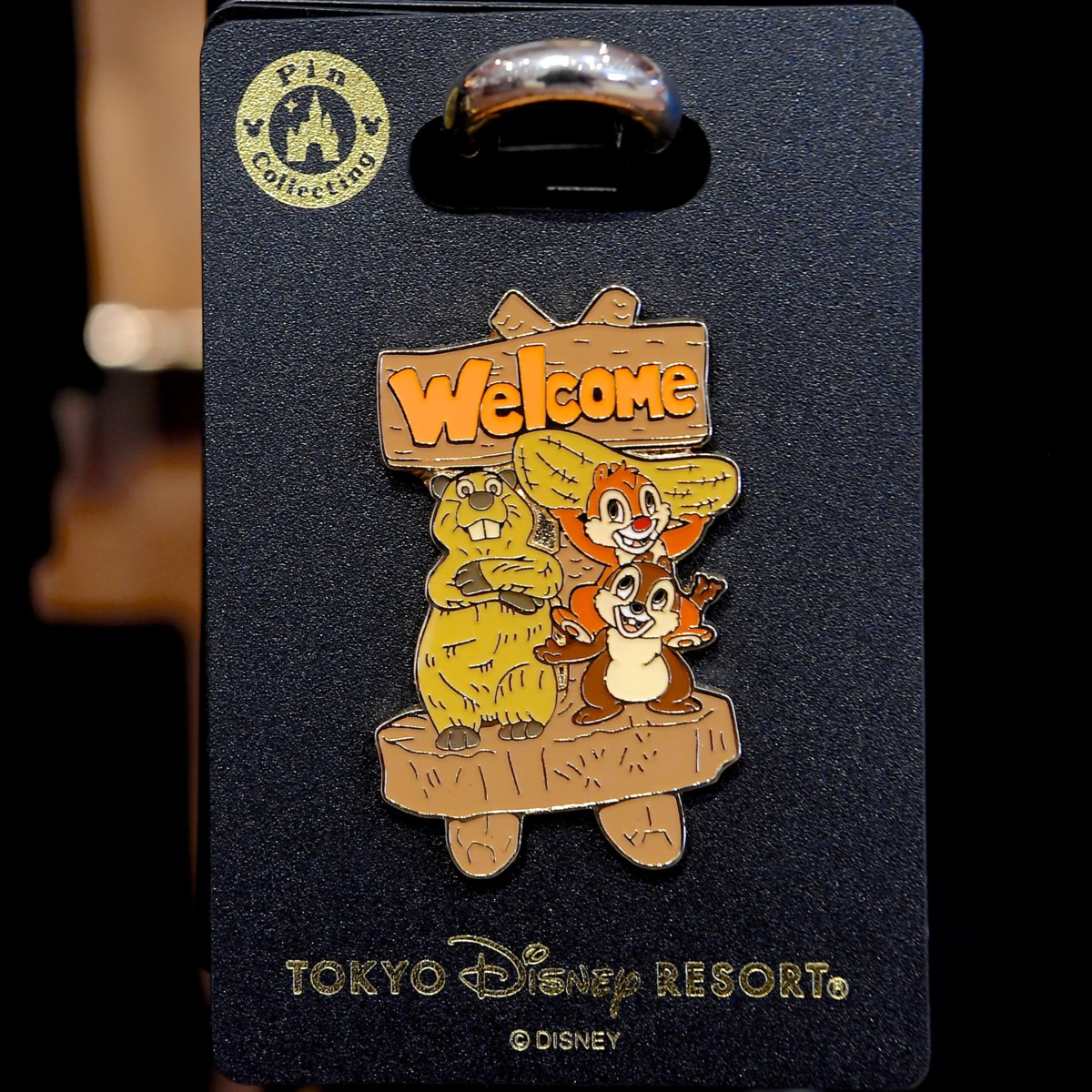 クリッターカントリーデザイン！東京ディズニーランド「チップ&デール