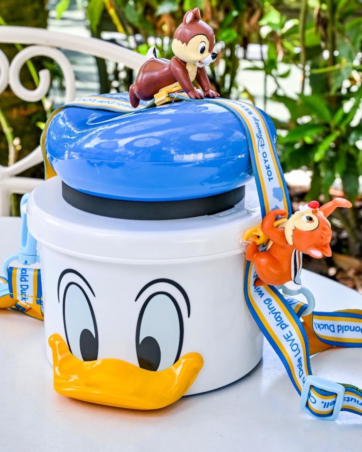 チップ＆デールのフィギュア付き！東京ディズニーランド ドナルド