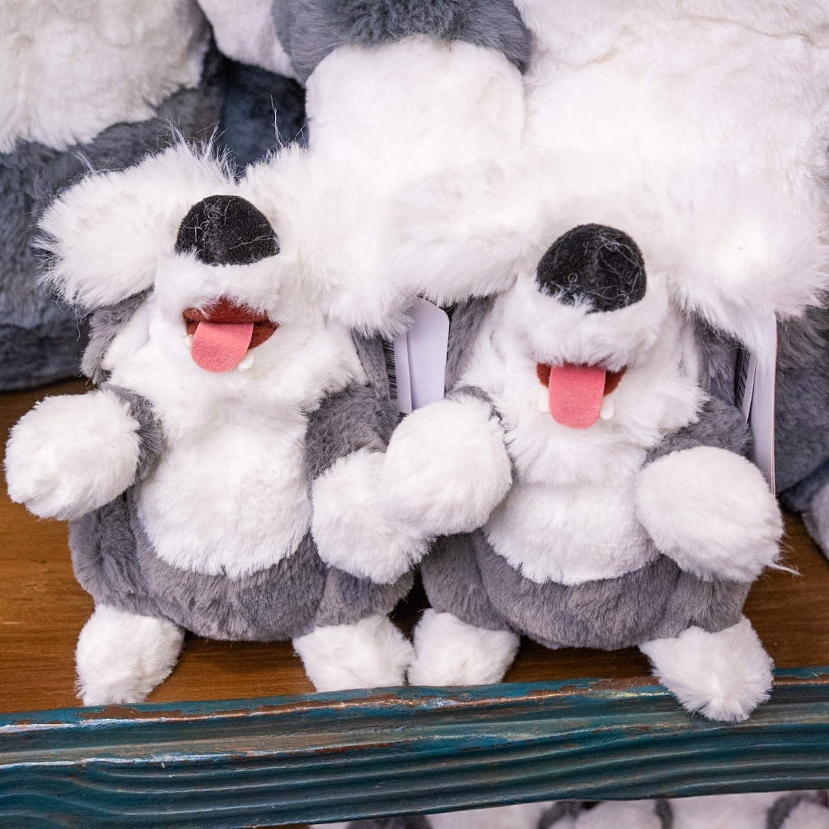 ふわふわな毛並みがかわいいマックス！東京ディズニーランド『リトル