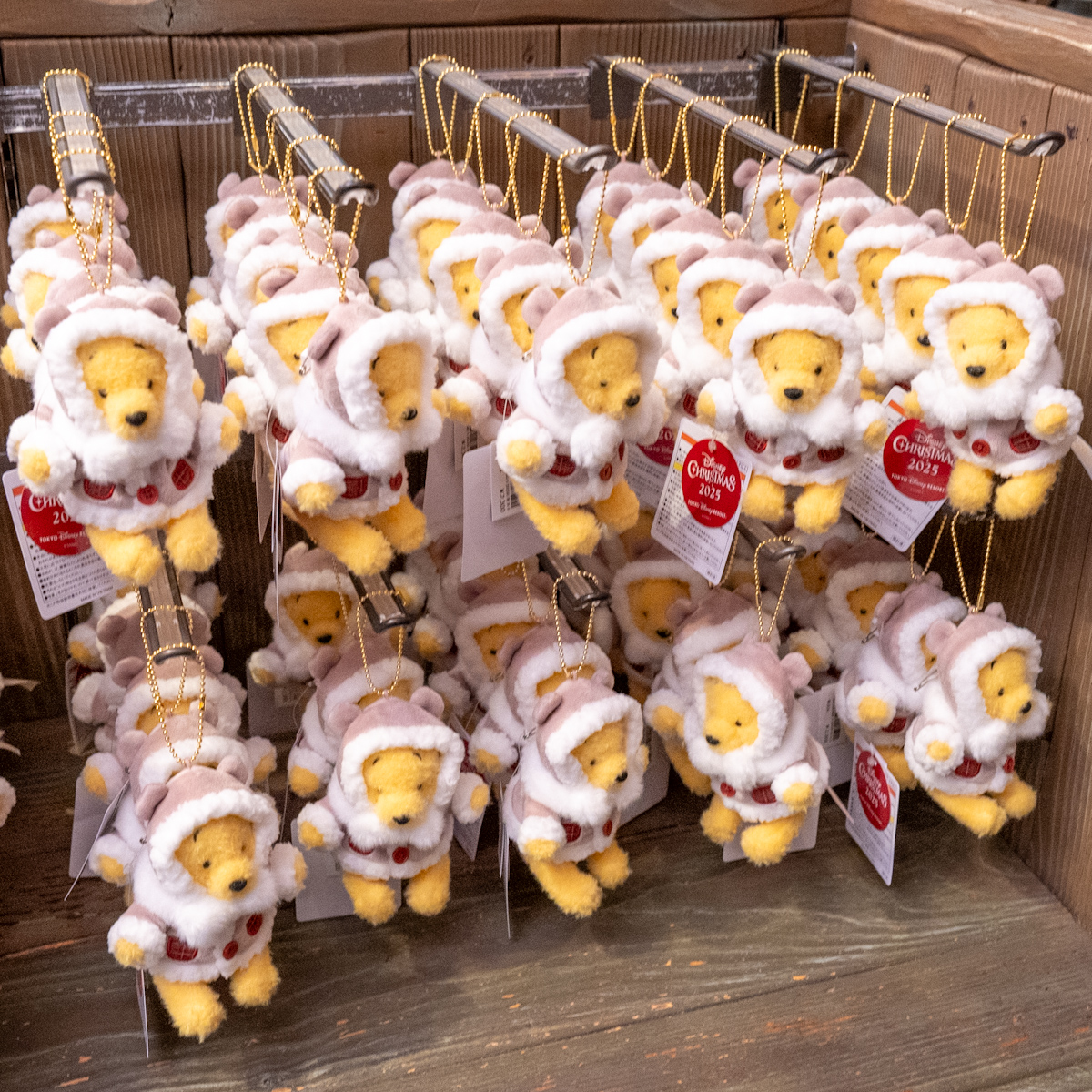 ふわもこコートを着たくまのプーさん！東京ディズニーリゾート