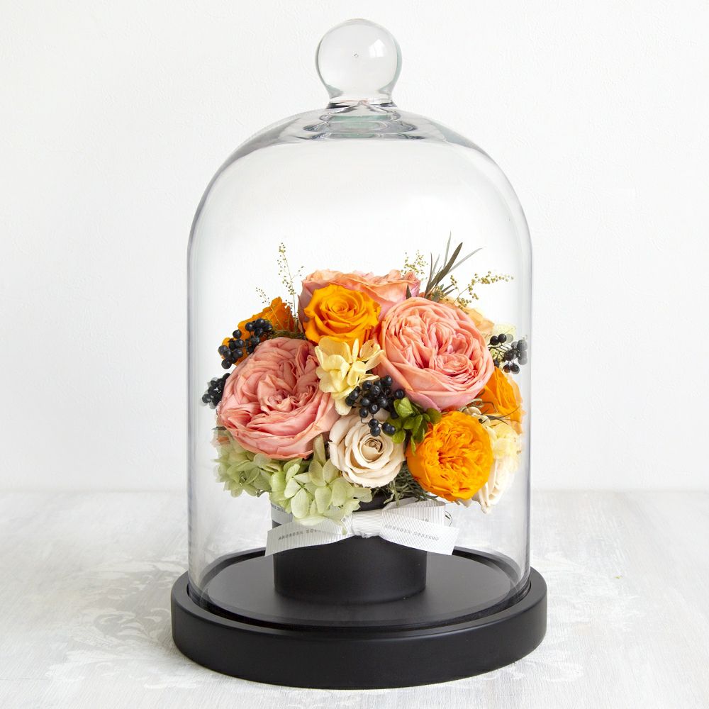 000000000167-01-m.jpg?t=