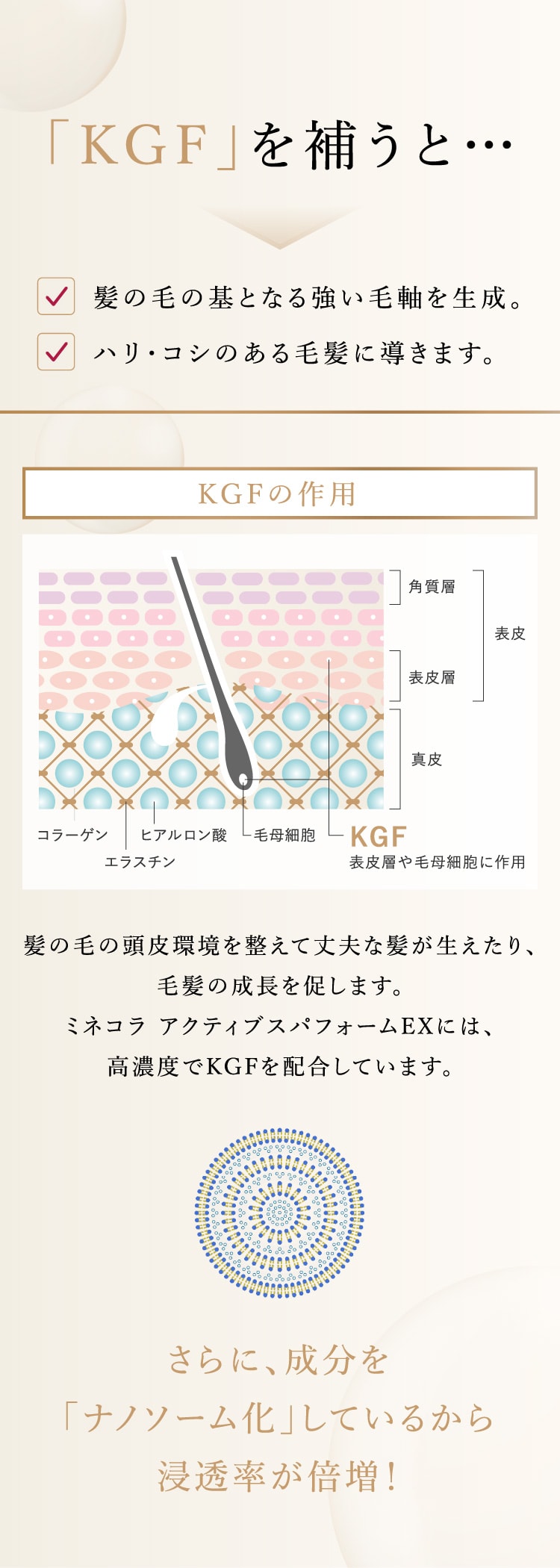 ミネコラパーフェクト3EXシリーズ