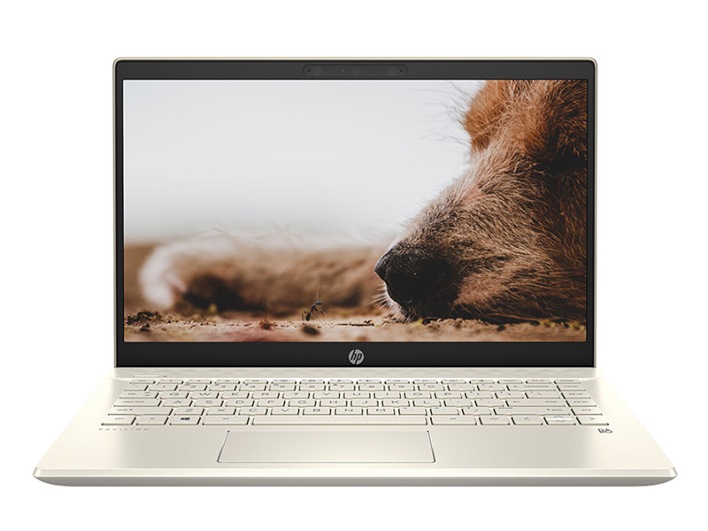 Laptop HP Pavilion 14-dv0008TU 14 inch i5 1135G7/RAM 8GB/SSD 512GB