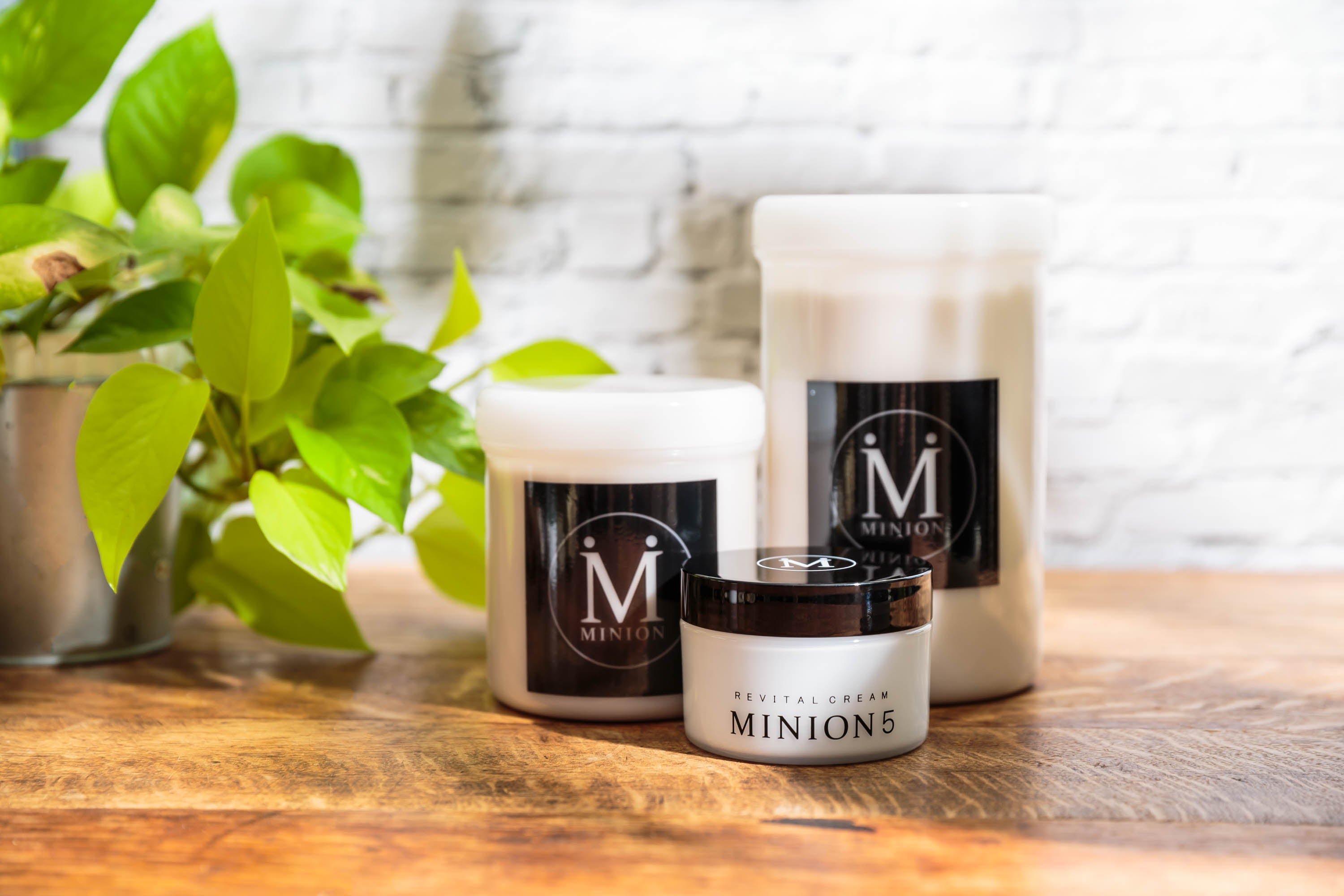 ミニオン化粧品 | エステサロン・治療院向け「ホルミシスクリーム」等