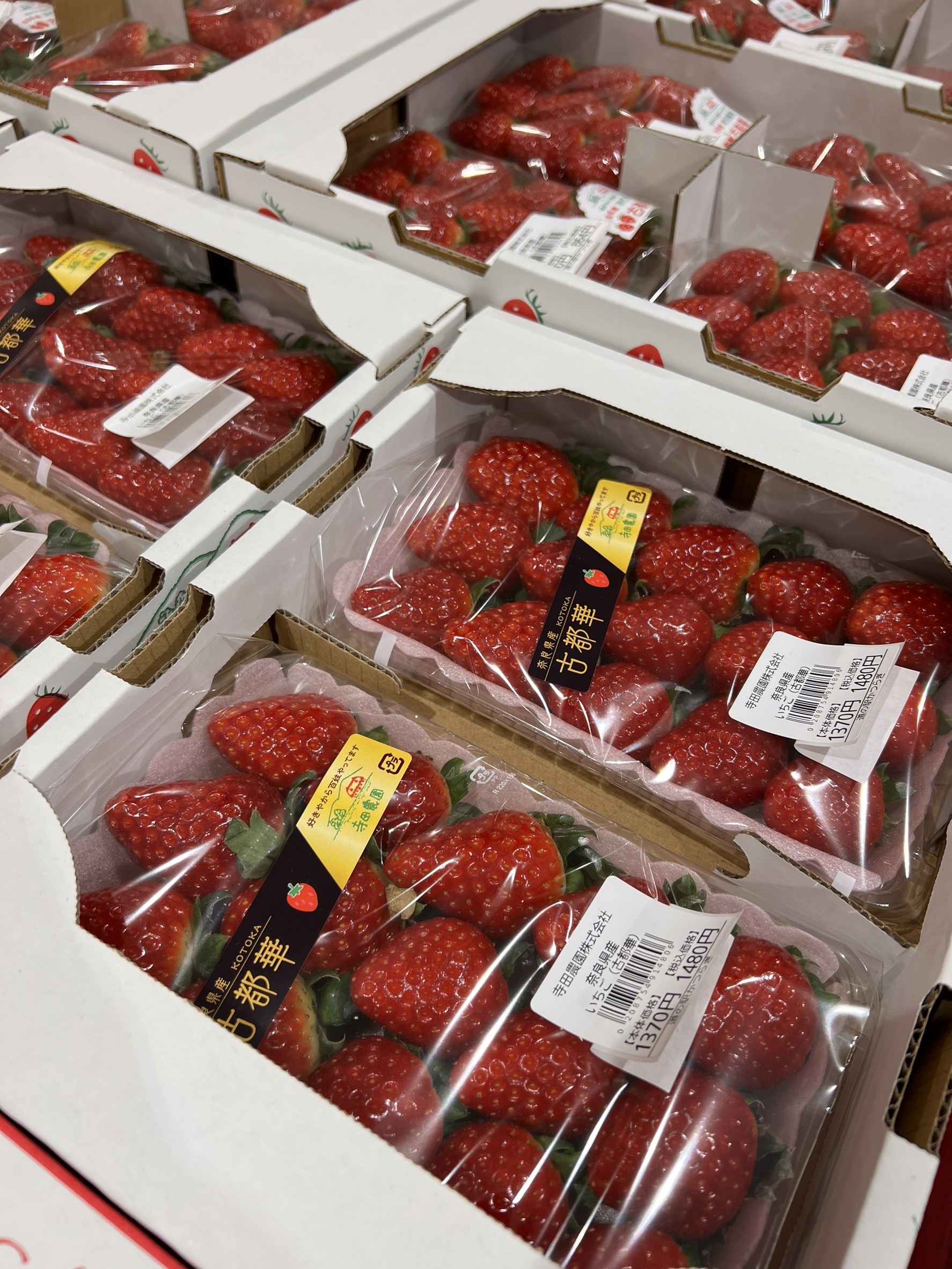 2025年4月のおすすめ | 奈良県葛城市 道の駅かつらぎ