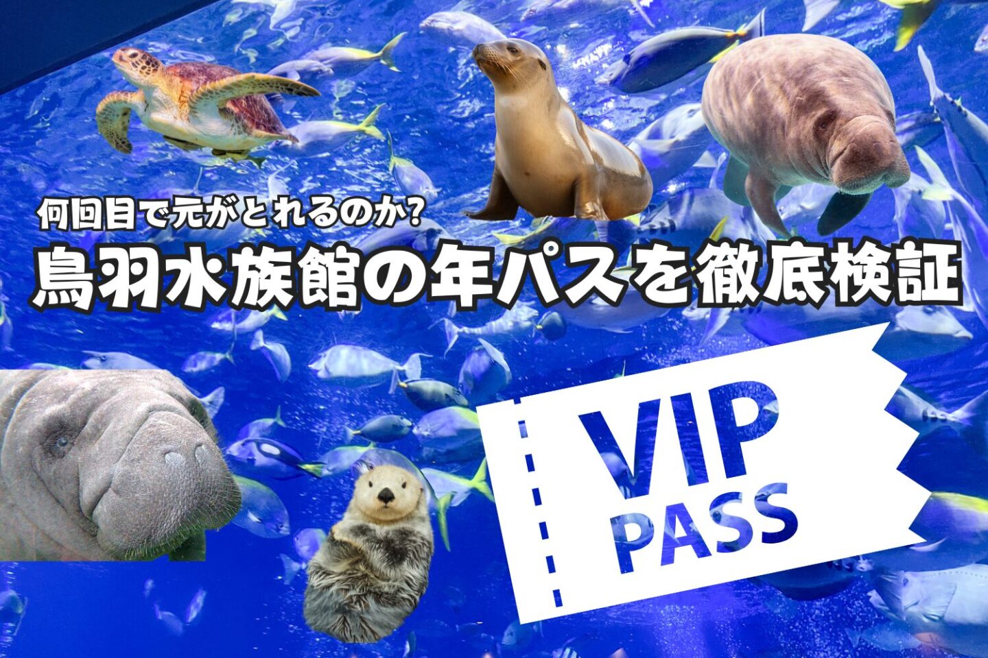 鳥羽水族館の年間パスポートは何回で元がとれるのか？検証してみた。