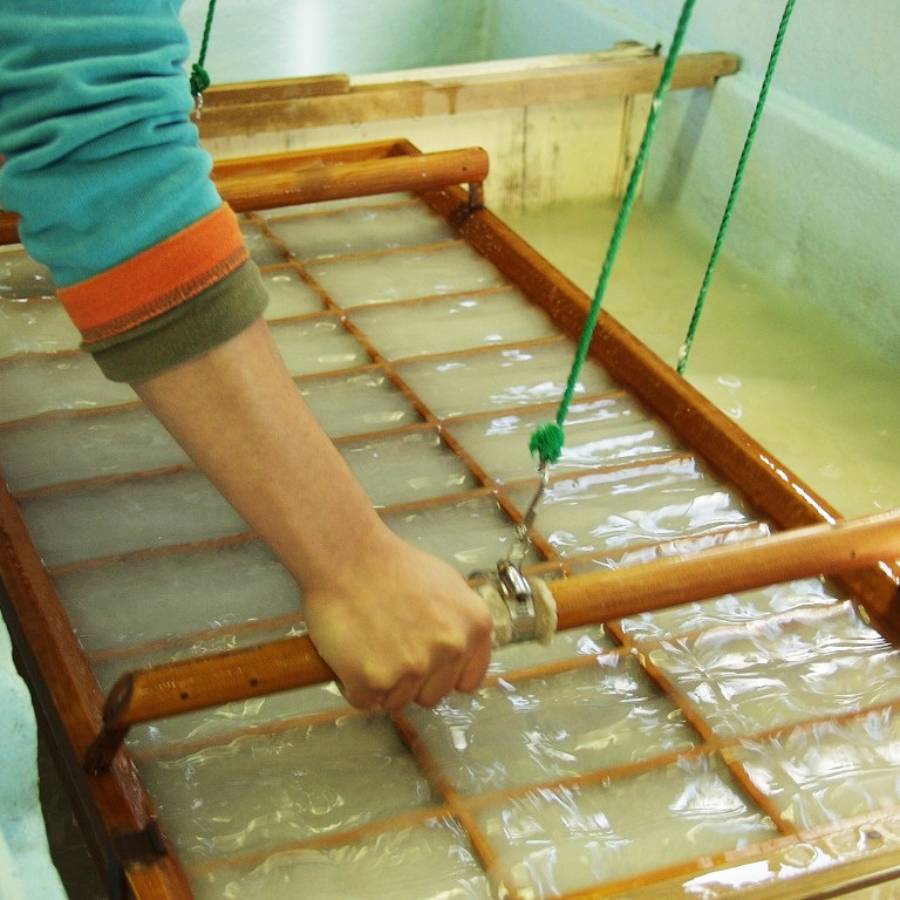 MAJAKUJA MASAKO(マジャクジャ マサコ）〉柿渋染手漉き土佐和紙使用