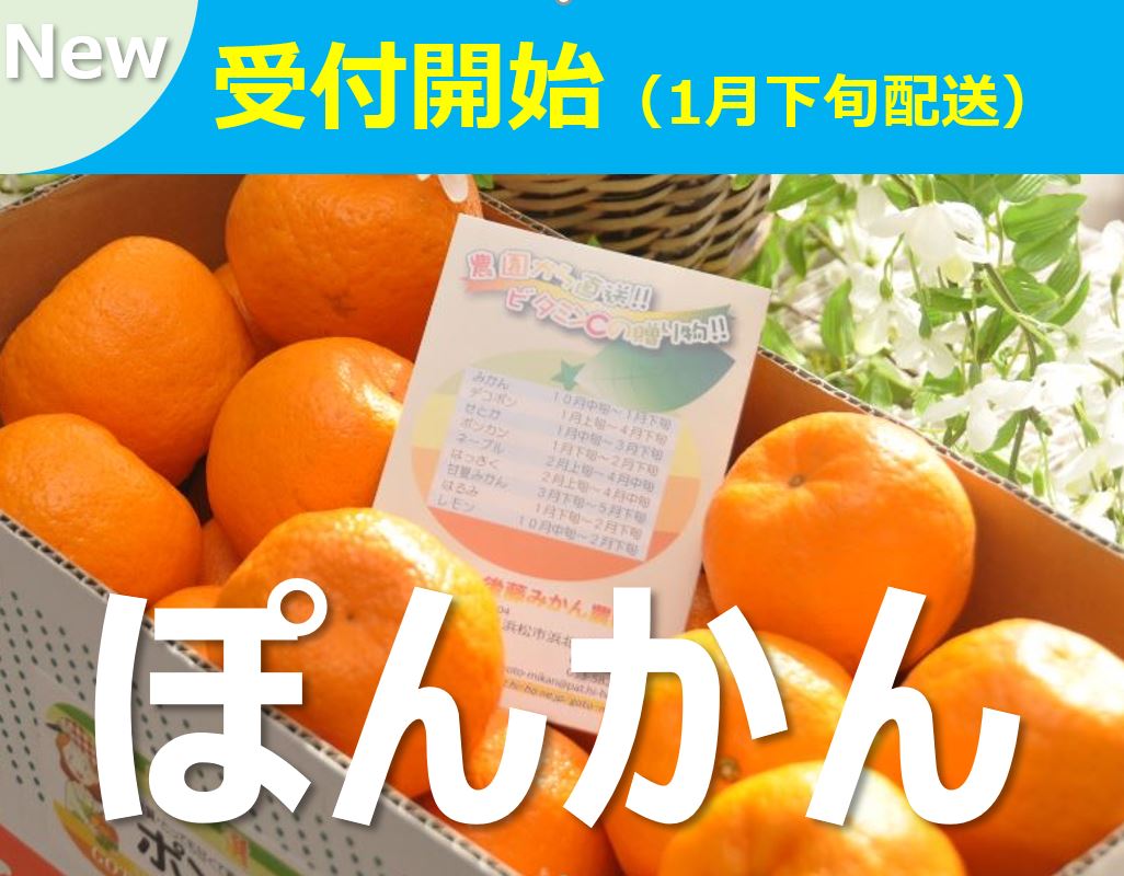 ポンカン | 後藤みかん農園