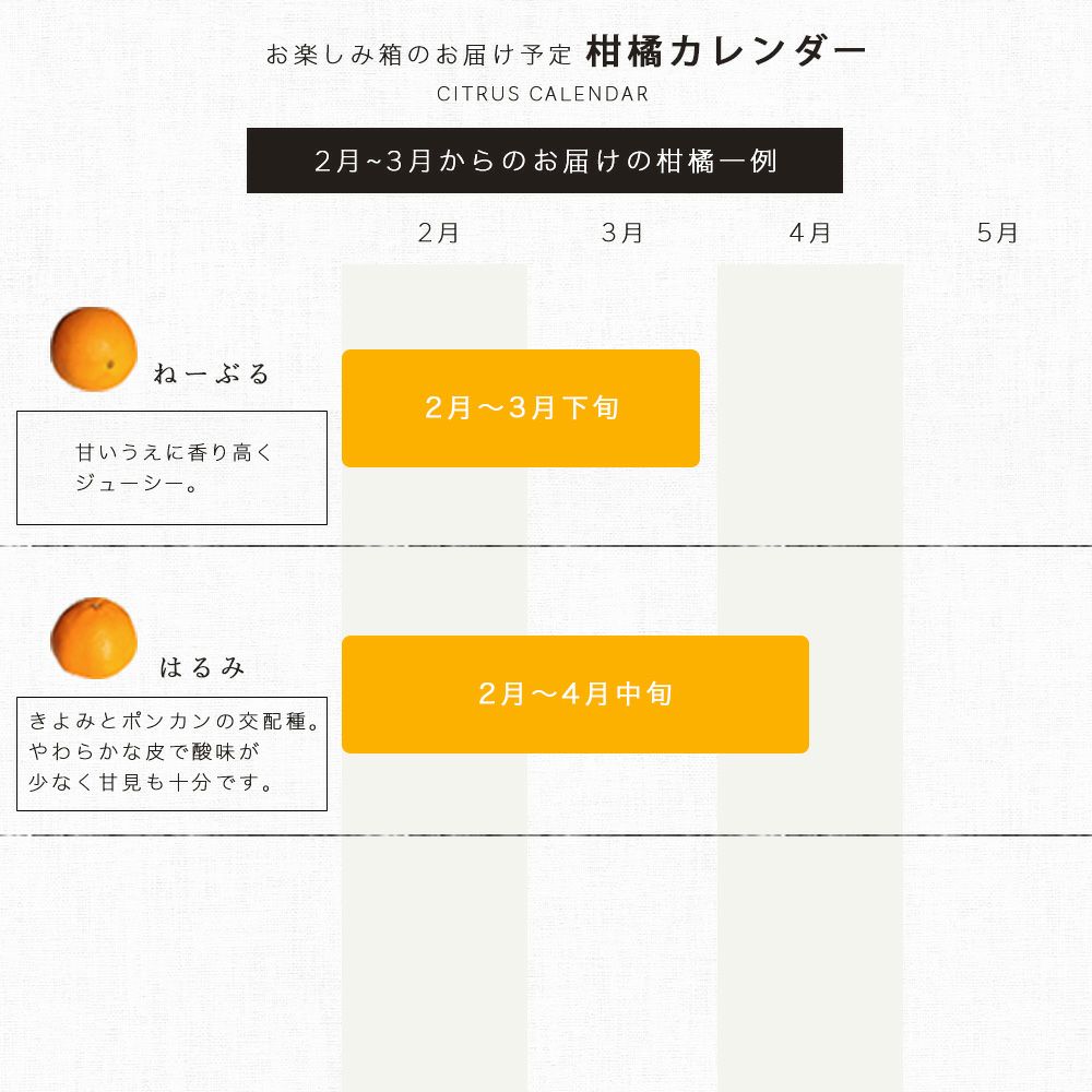ホワイトデイ早期特典P5倍～3/2まで】【お届け予定が選べる♪｜お届け