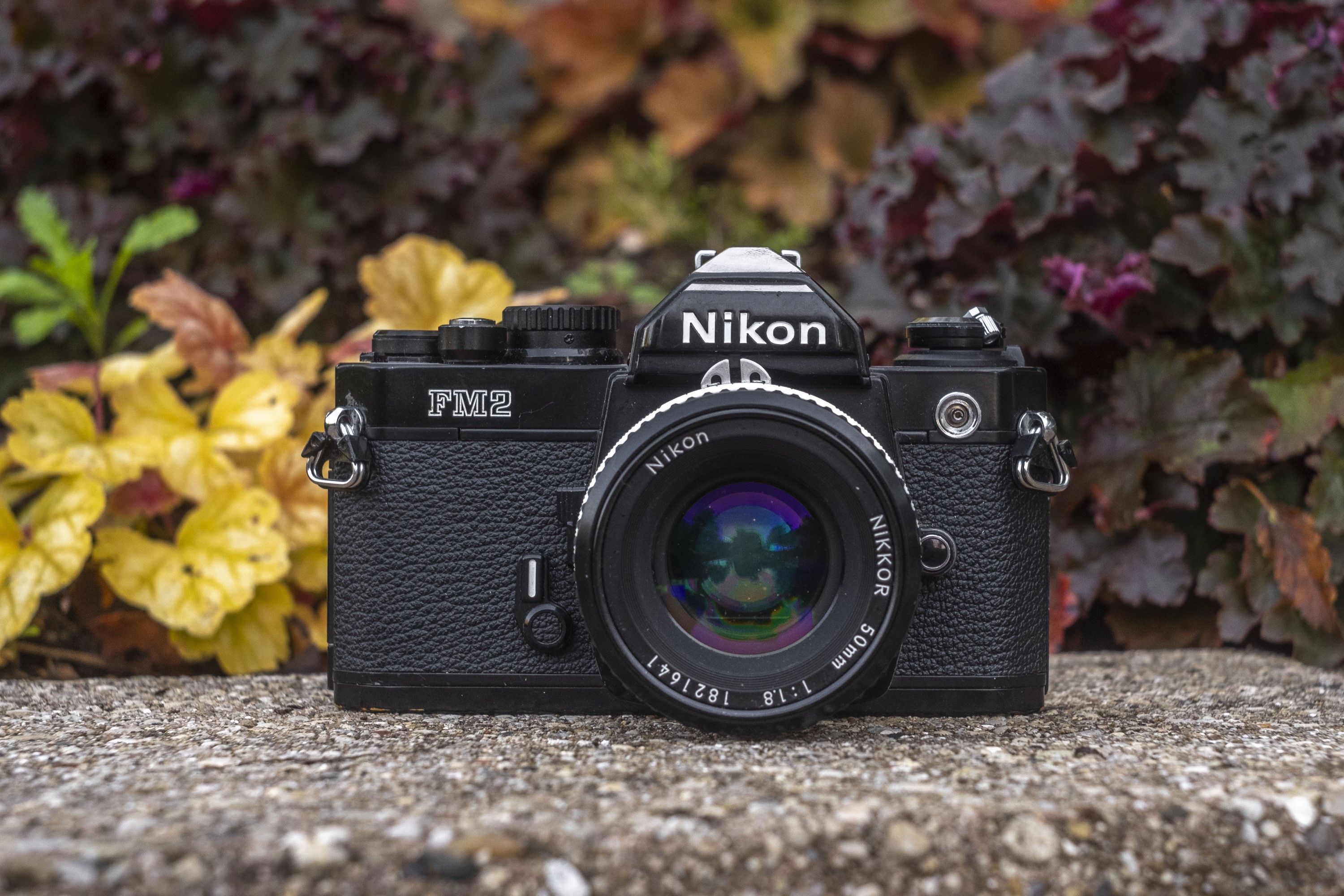 Nikon FM2n (1983) - mike eckman dot com