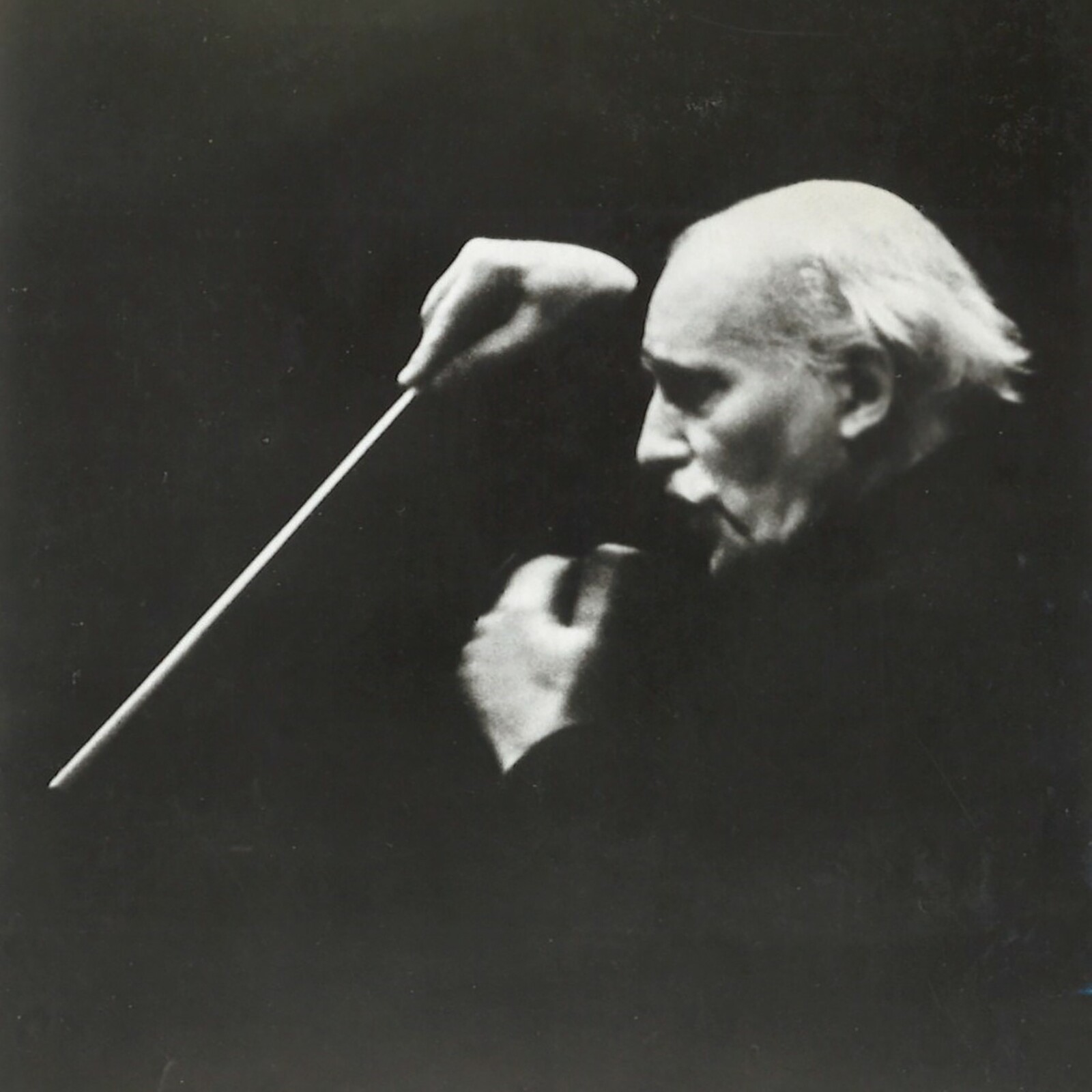 img_b037e3164616de5695bed2bd3f