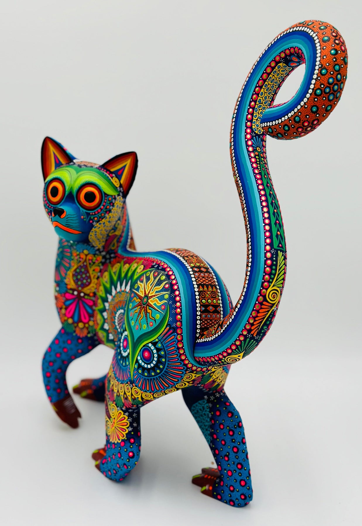 curious-colorful-lemur-