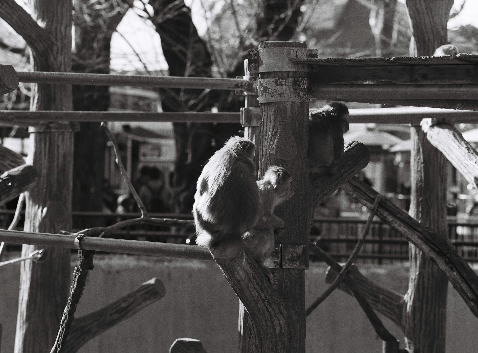 中判フィルムカメラ Mamiya M645 SUPER とレンズセットを購入した | by