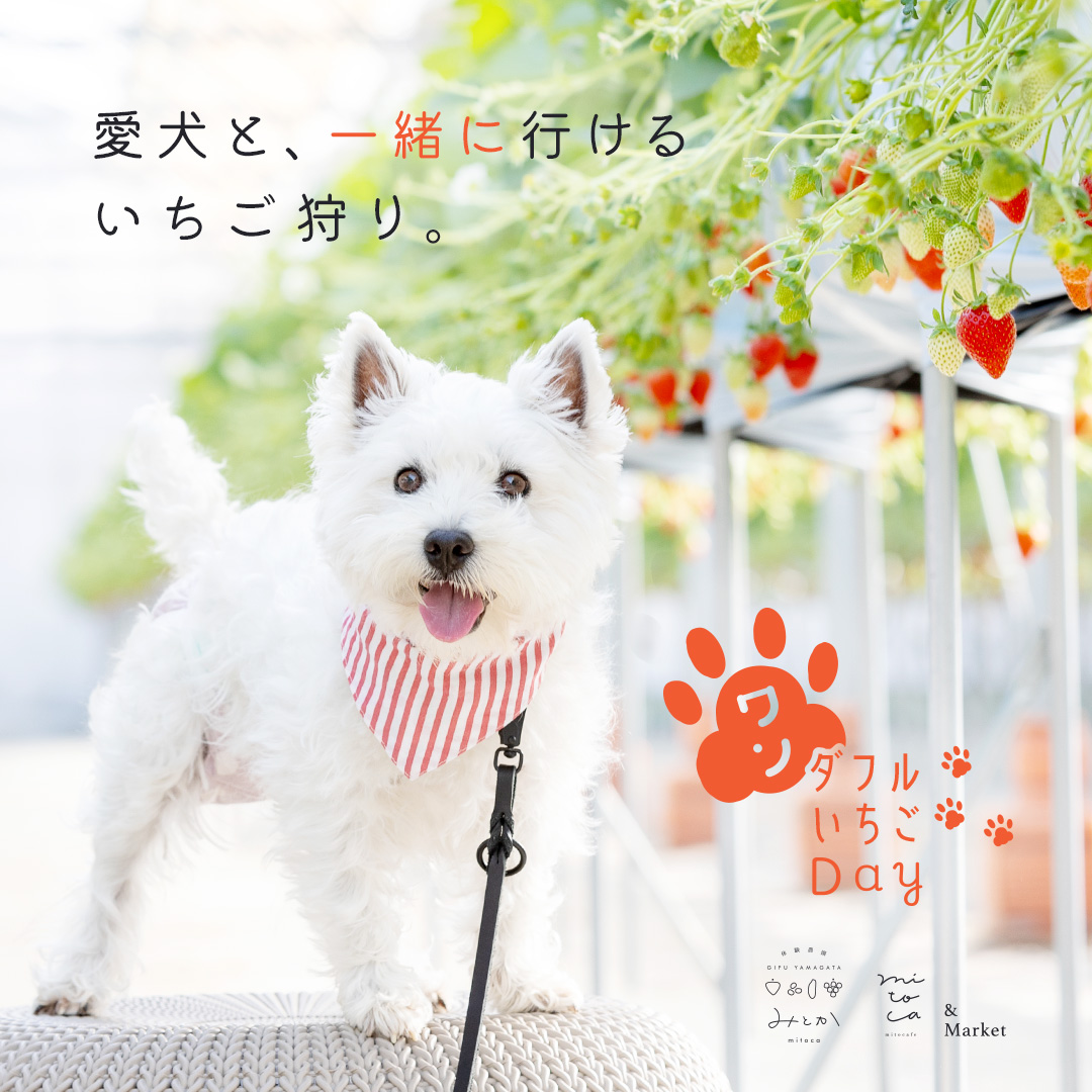 体験農園みとか】わんちゃんtoいちご狩り「ワンダフルいちご狩りDay