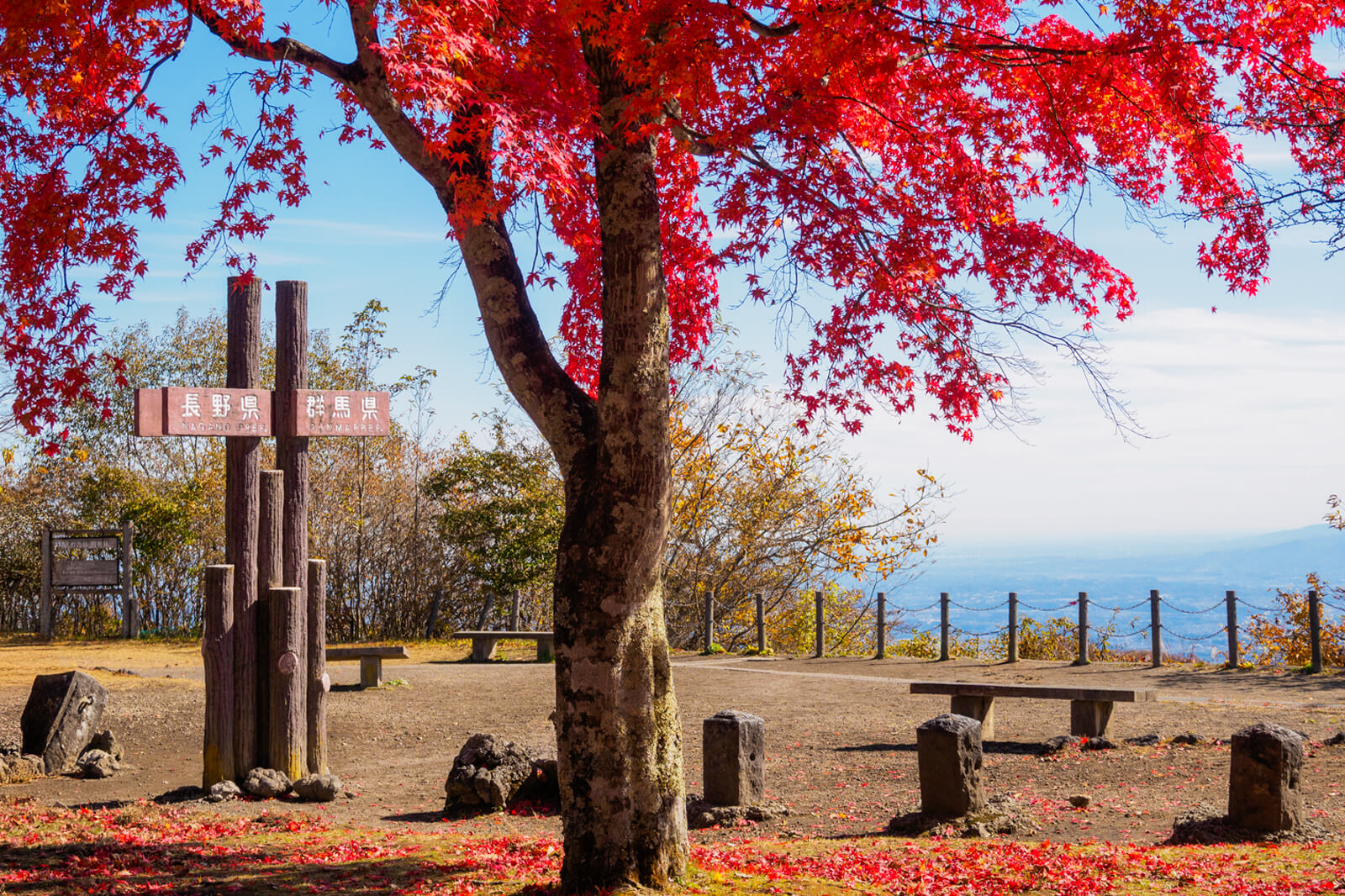 F10号です。碓氷峠で発見した、紅葉。特注額です。 F10号です。碓氷峠