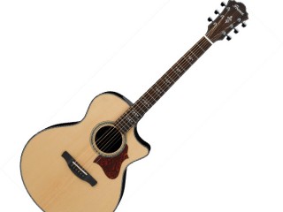 THE HIGHEST PERFORMANCE AND TONE” / Ibanez エレクトリック