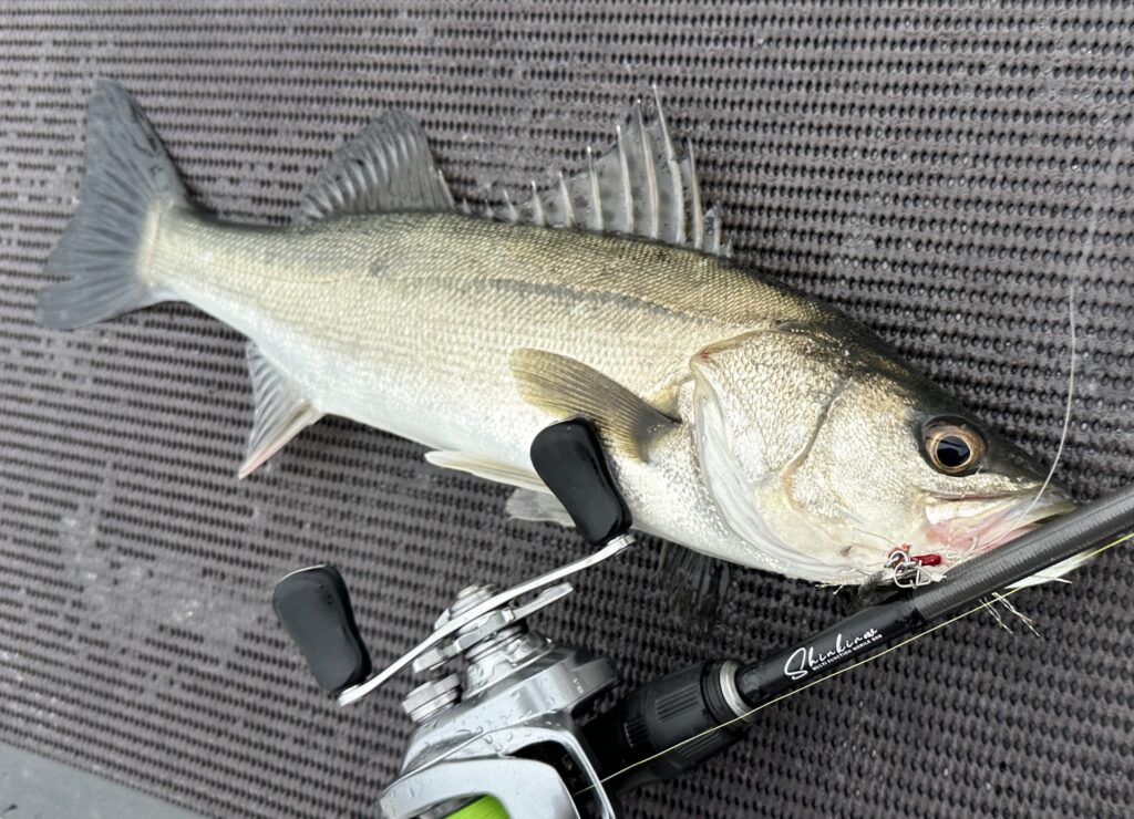 Shinkirow TRAVERSE 59///72MLC」ジャンル横断のマルチユース・6モード