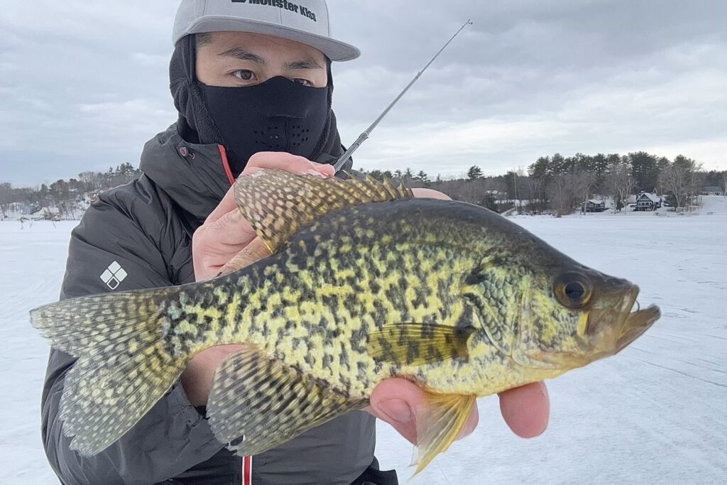 Dear Monster MX-00 - Monster Kiss モンスターキス