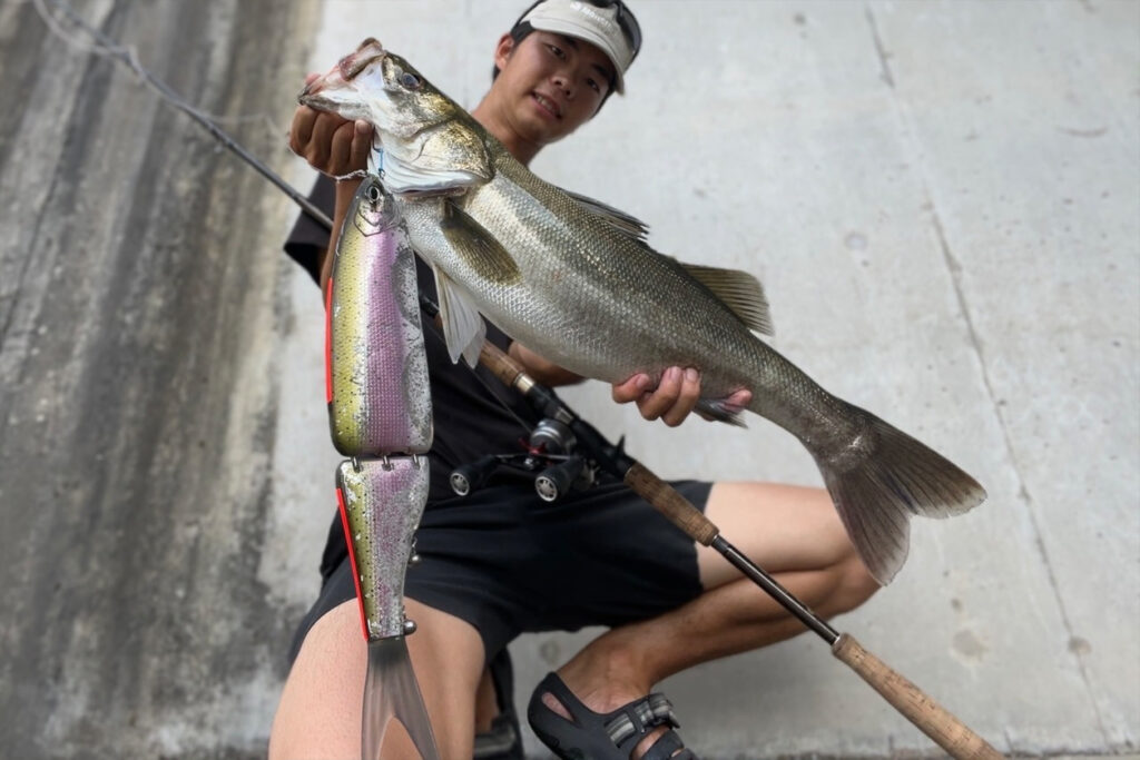 Dear Monster MX-∞+ - Monster Kiss モンスターキス