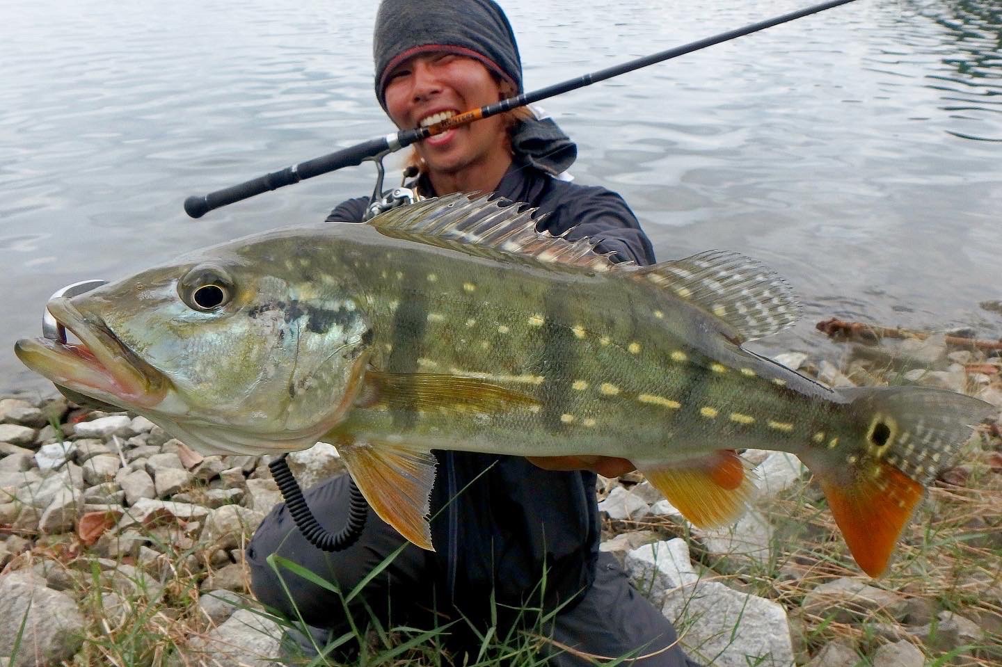 HUNTERS HT-6x4S（第一世代） - Monster Kiss モンスターキス