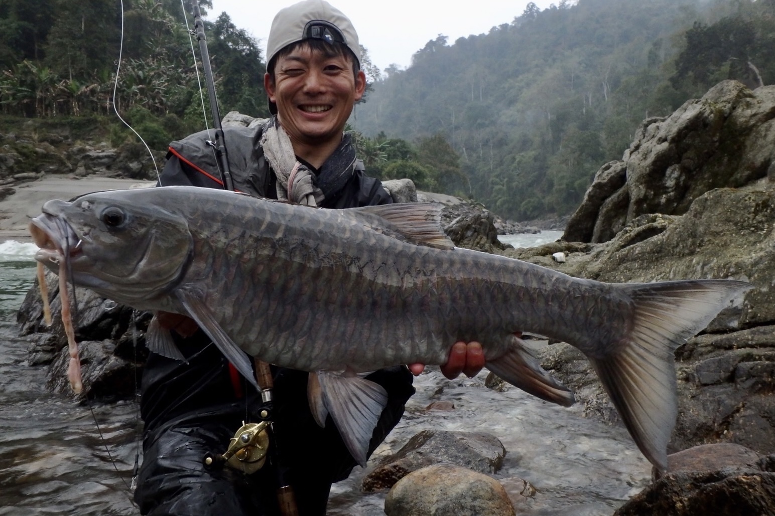 Dear Monster MX-8+ - Monster Kiss モンスターキス