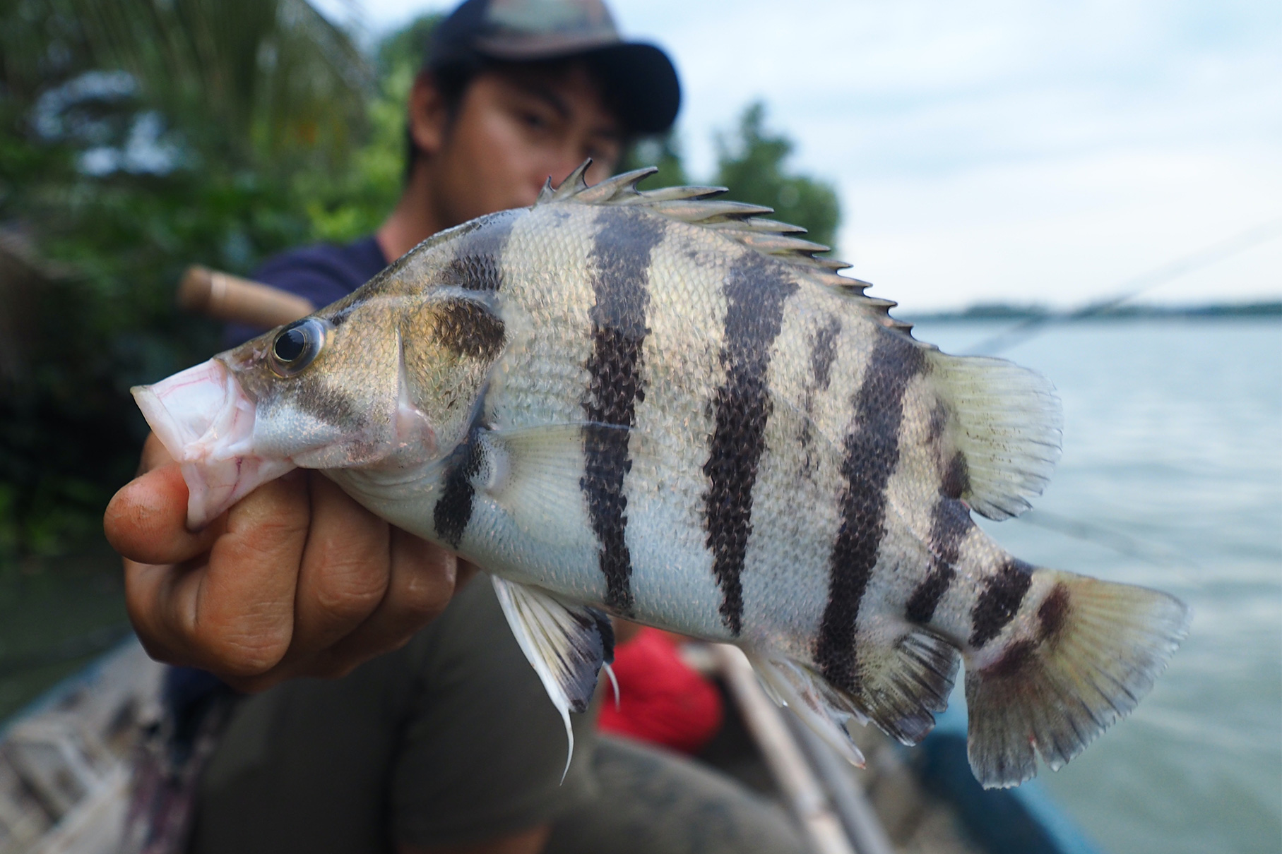 Dear Monster Valitudo MV-55 - Monster Kiss モンスターキス