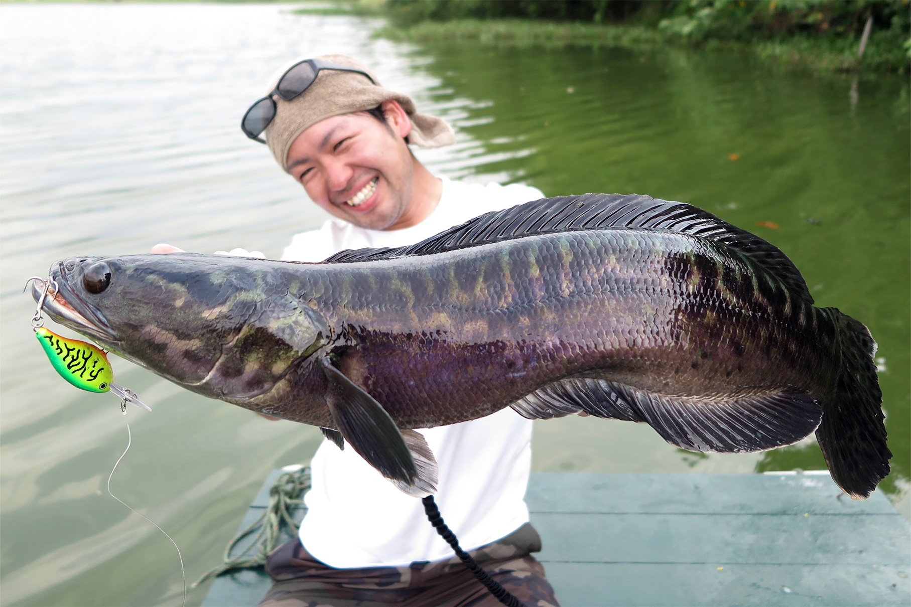 Dear Monster Valitudo MV-65 - Monster Kiss モンスターキス