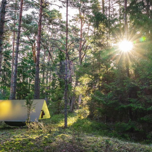 LESOVIK GROZA / レソヴィク グローザ