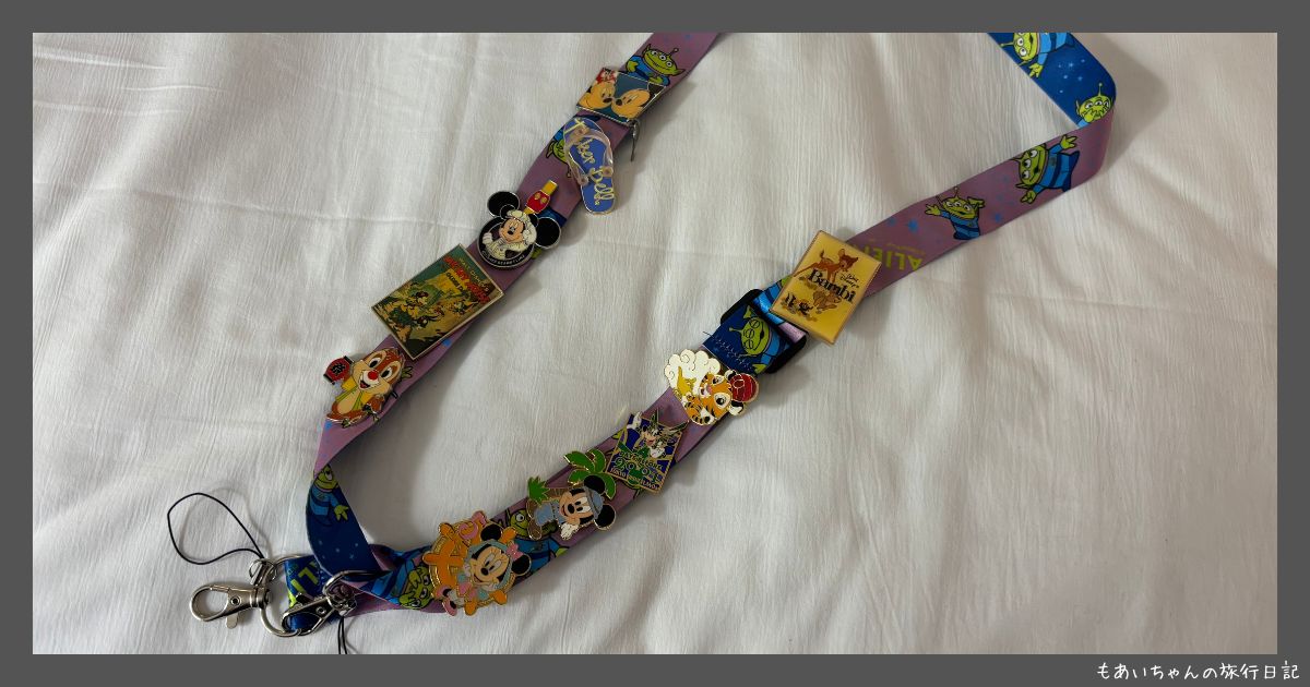 フロリダディズニー】WDWのピントレーディングとは？公式ピンの見分け