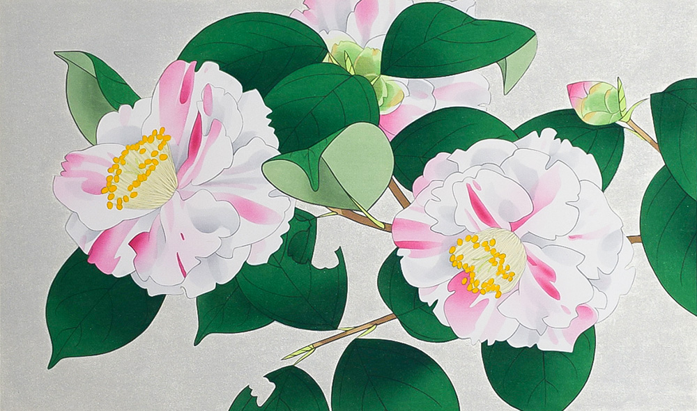 中島千波花の写生12葉絵画 12枚セット求龍堂