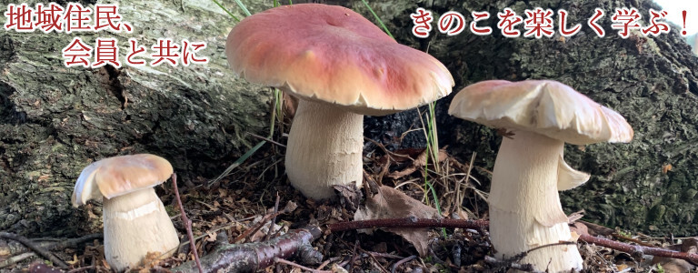 NPO法人 藻岩山きのこ観察会［森林ボランティア］