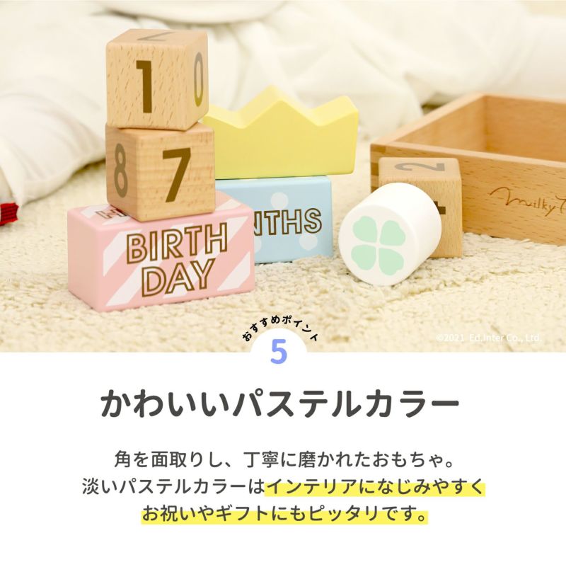 記念フォトが撮れるブロックセット メモリービスケット Memory