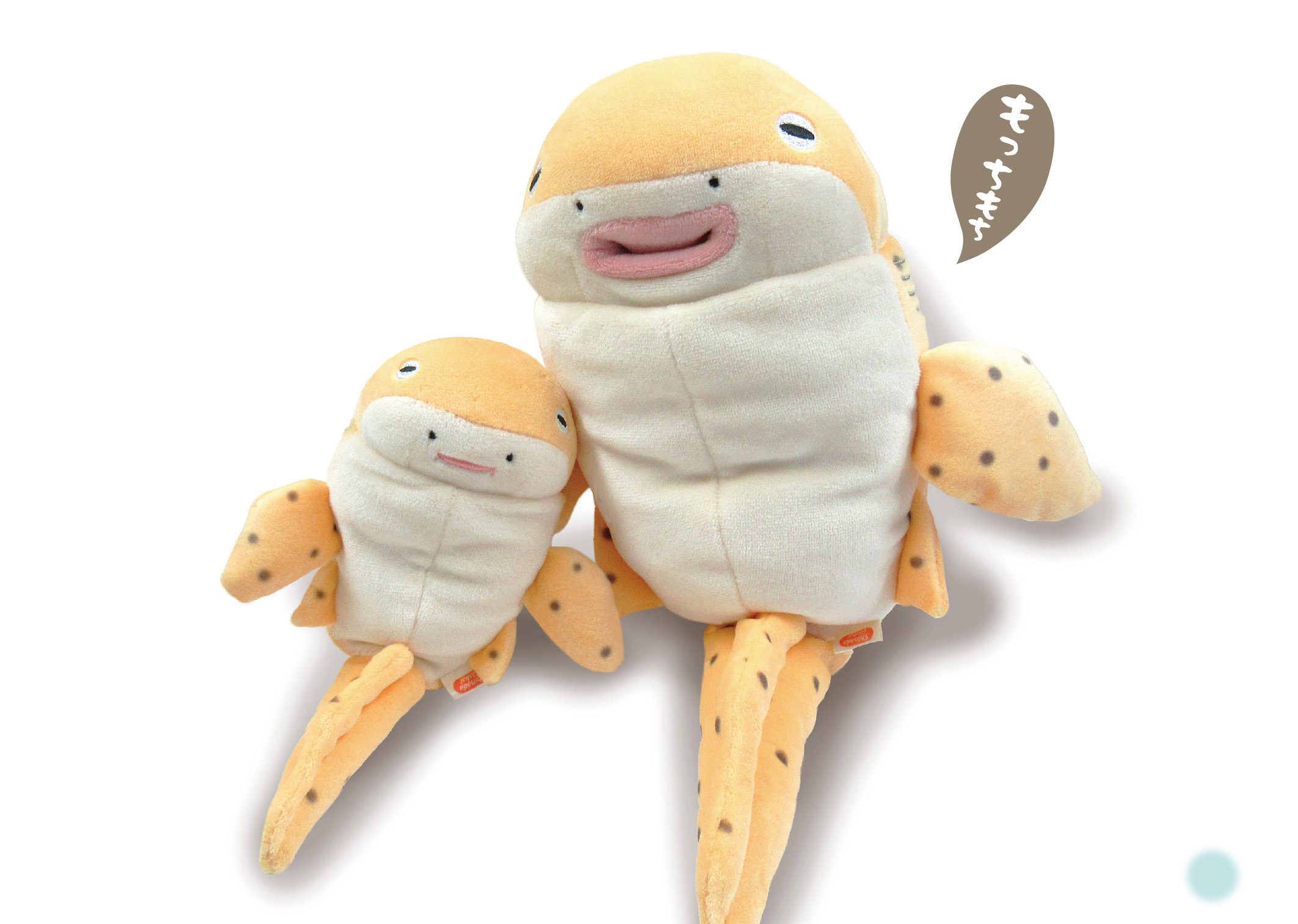 M アーカイブ - モリサカグローバル