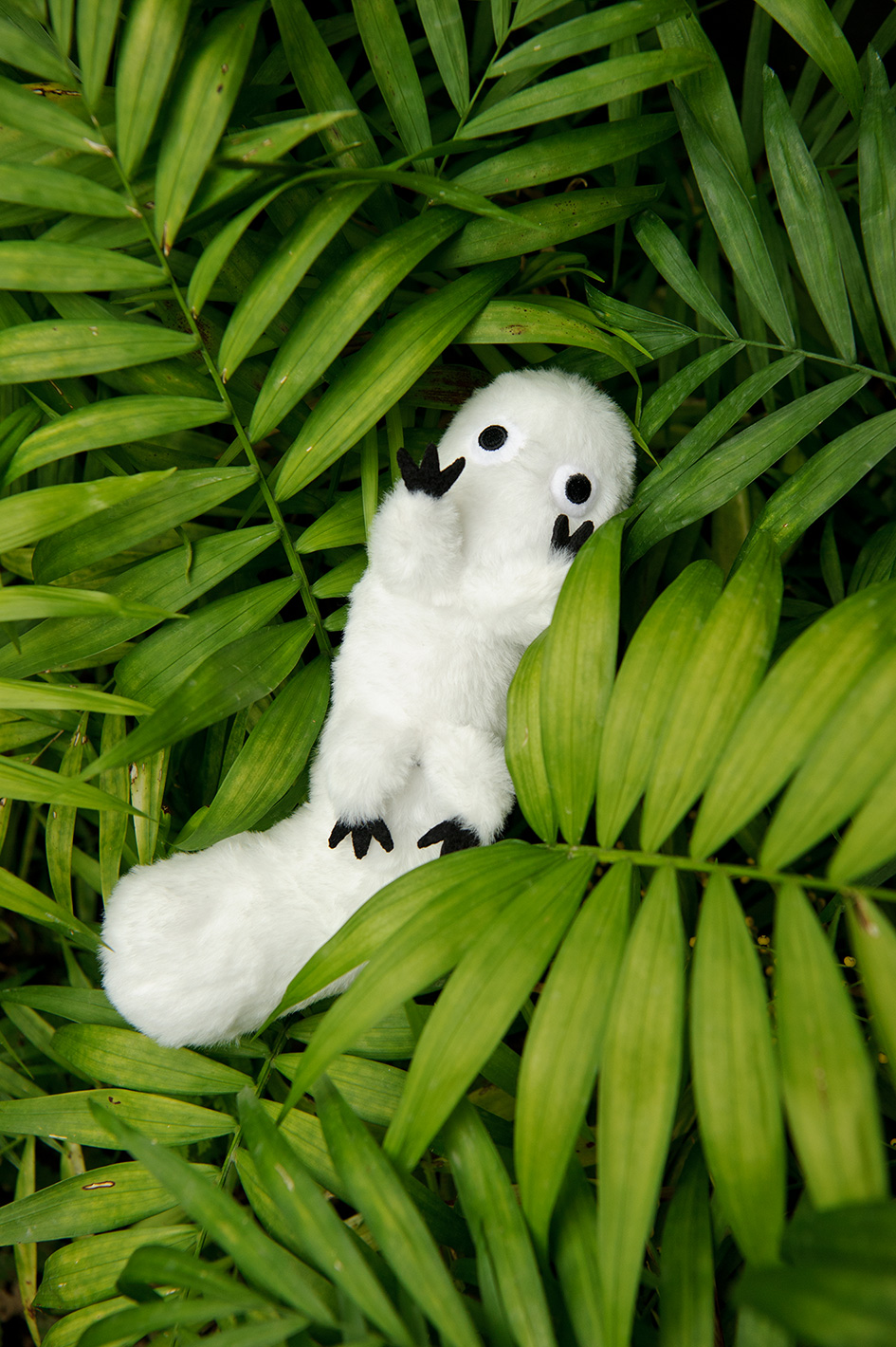 とんがり帽子のアトリエ』待望の最新⑫巻は本日6/22発売。限定版は