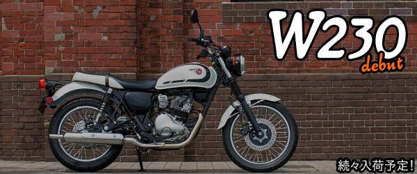 2019】Ninja ZX－6R（レース専用モデル） | MotoPiazza