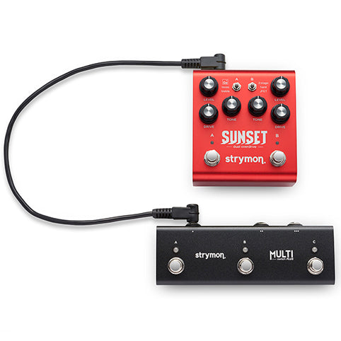 Strymon MultiSwitch Plus – Motor City Guitar