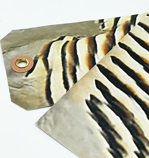 Enticer Western Magic Feathers - 10 Feathers – Minnesota Trapline