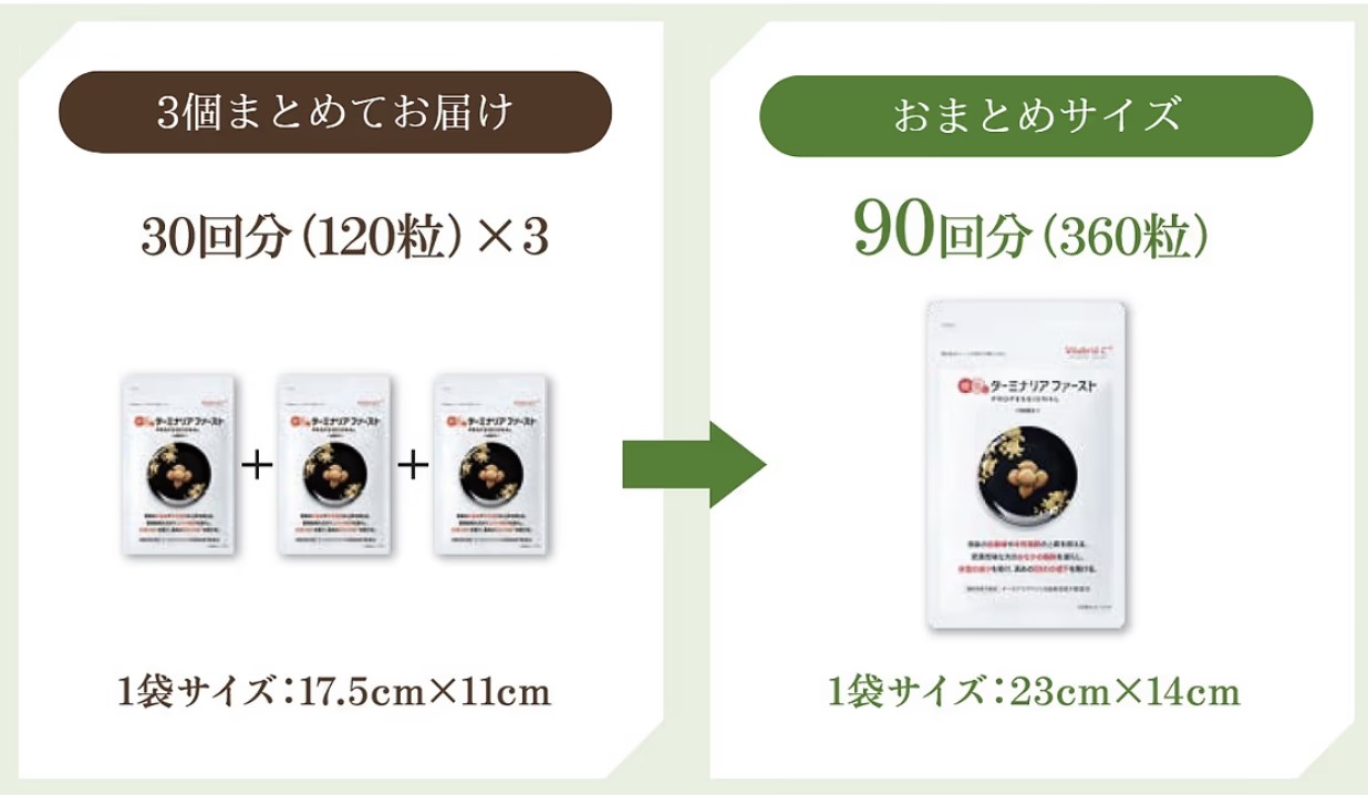 ビタブリット- ターミナリアファースト360粒 【公式通販】