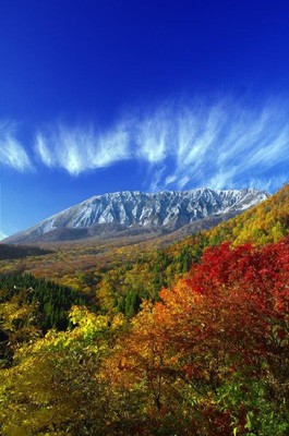 奥大山)鍵掛峠の紅葉(鳥取県)の情報｜ウォーカープラス