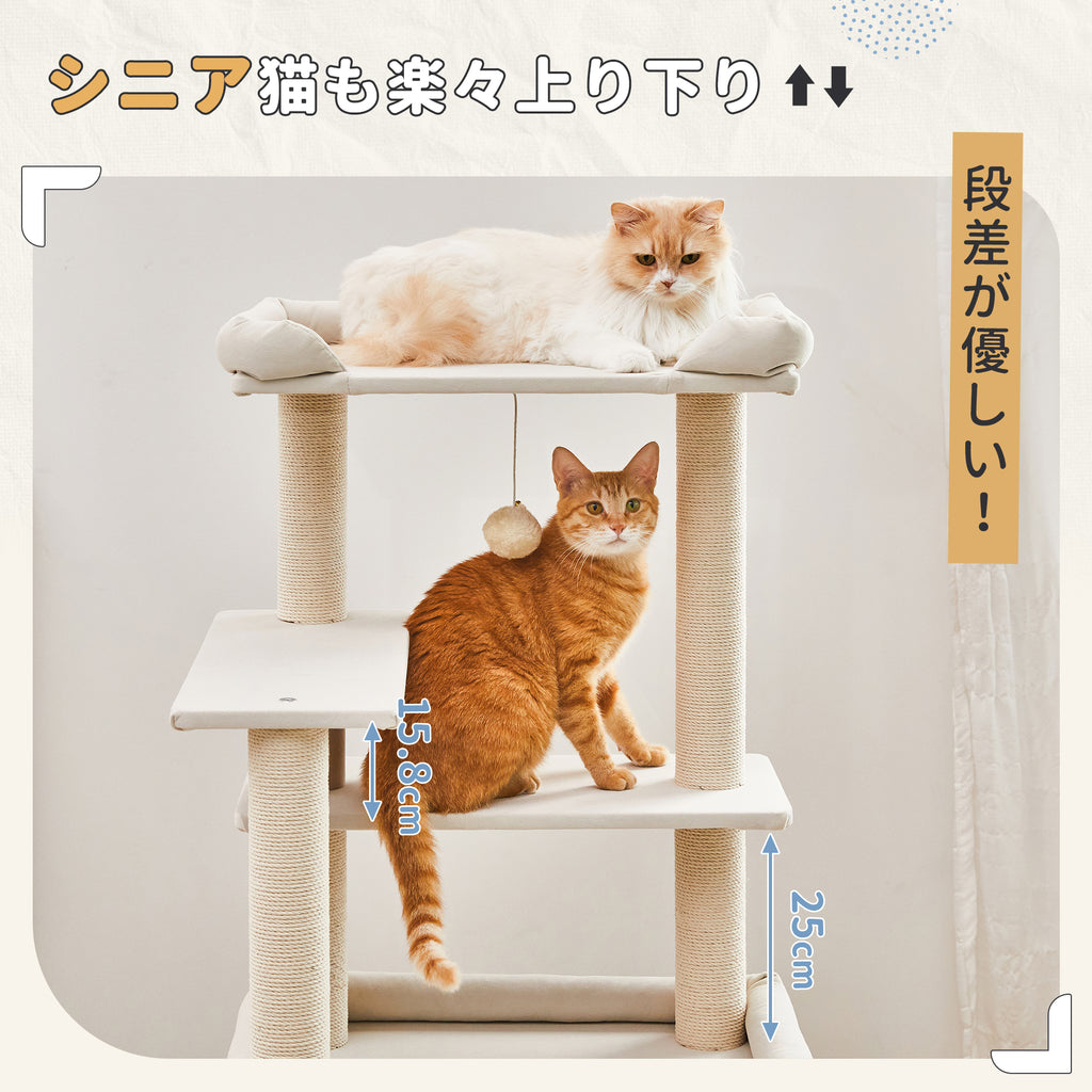 白猫 Lサイズ サンプルページ オーダー