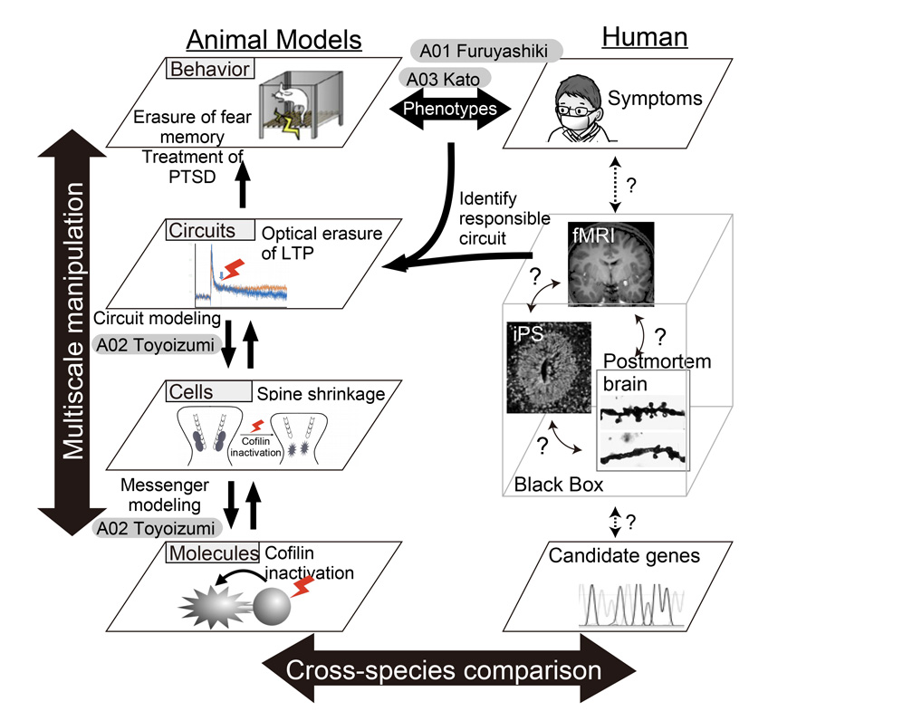 林 康紀 計画研究 | マルチスケール精神病態の構成的理解（マルチ
