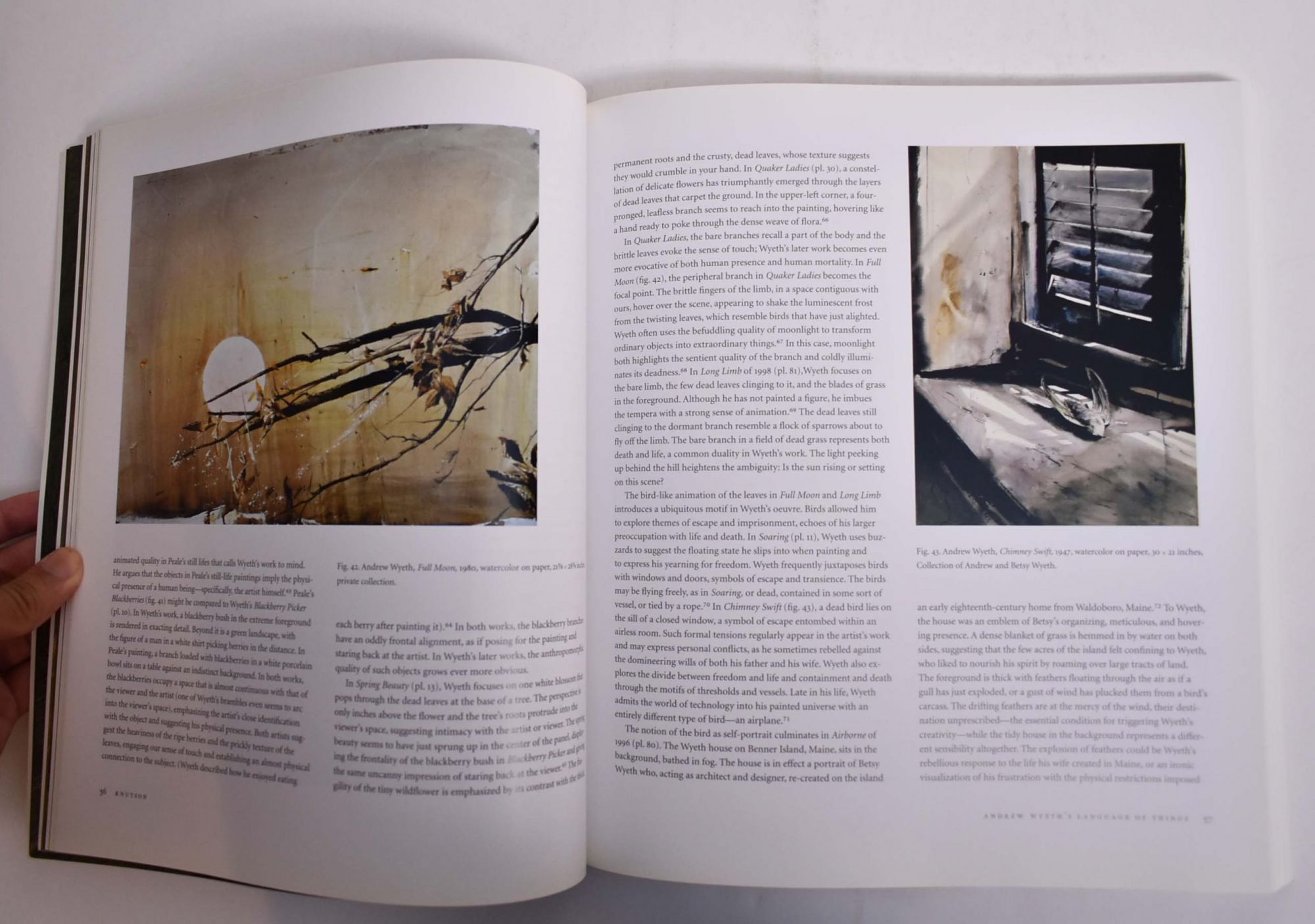 Andrew Wyeth: Memory & Magic | Anne Classen Knutson