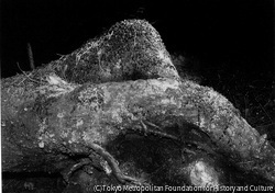 マーガレット・バーク＝ホワイト | ToMuCo - Tokyo Museum Collection