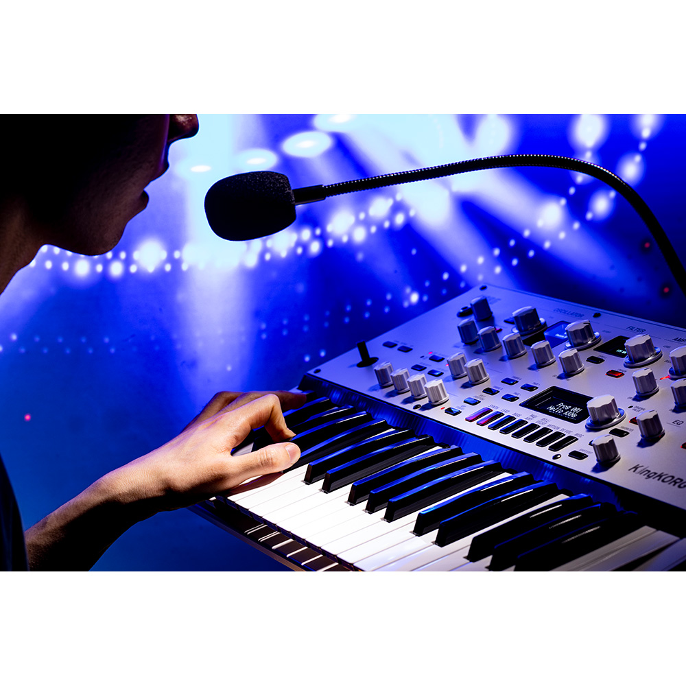 KORG KingKORG NEO｜ミュージックランドKEY