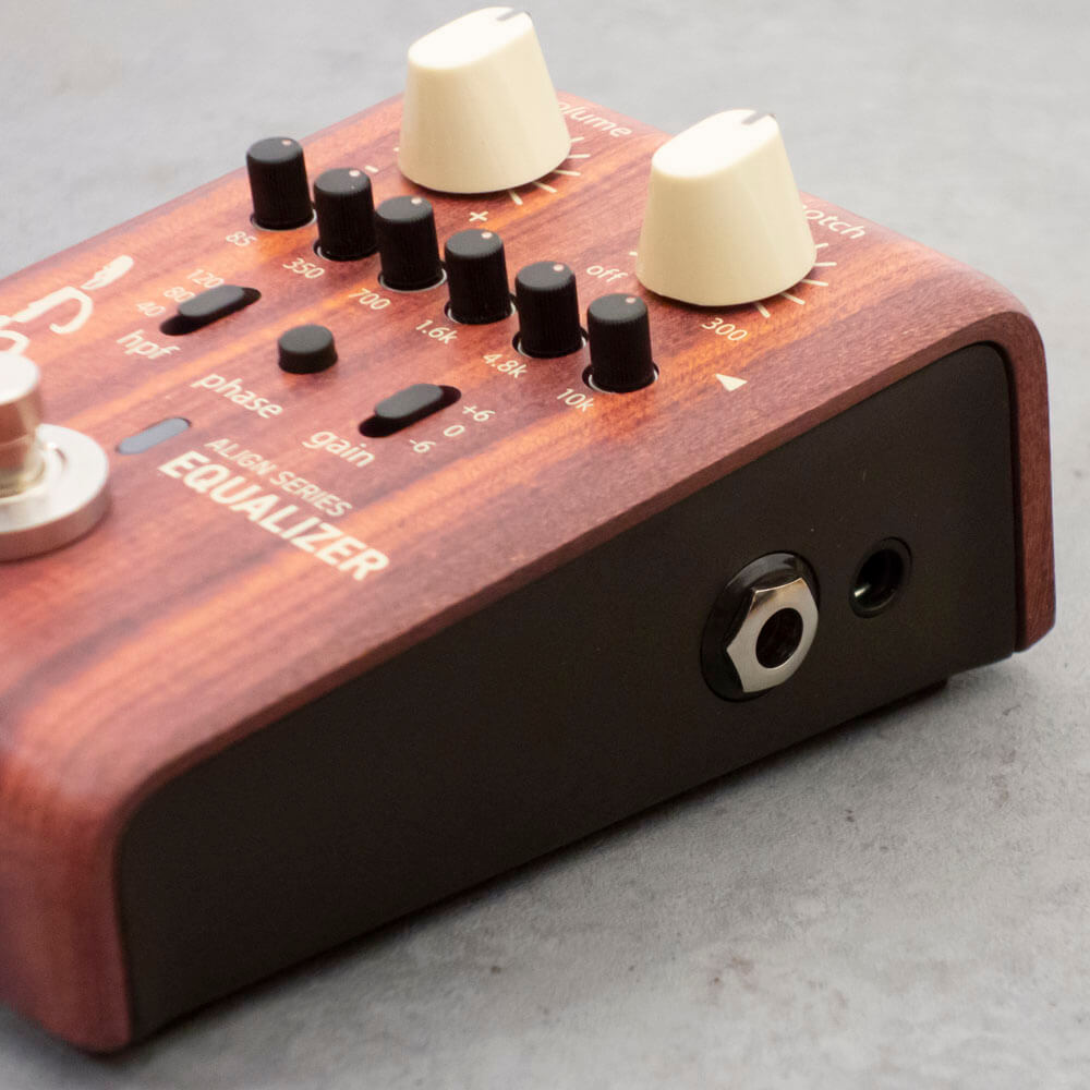 L.R.Baggs Align Series EQUALIZER｜ミュージックランドKEY