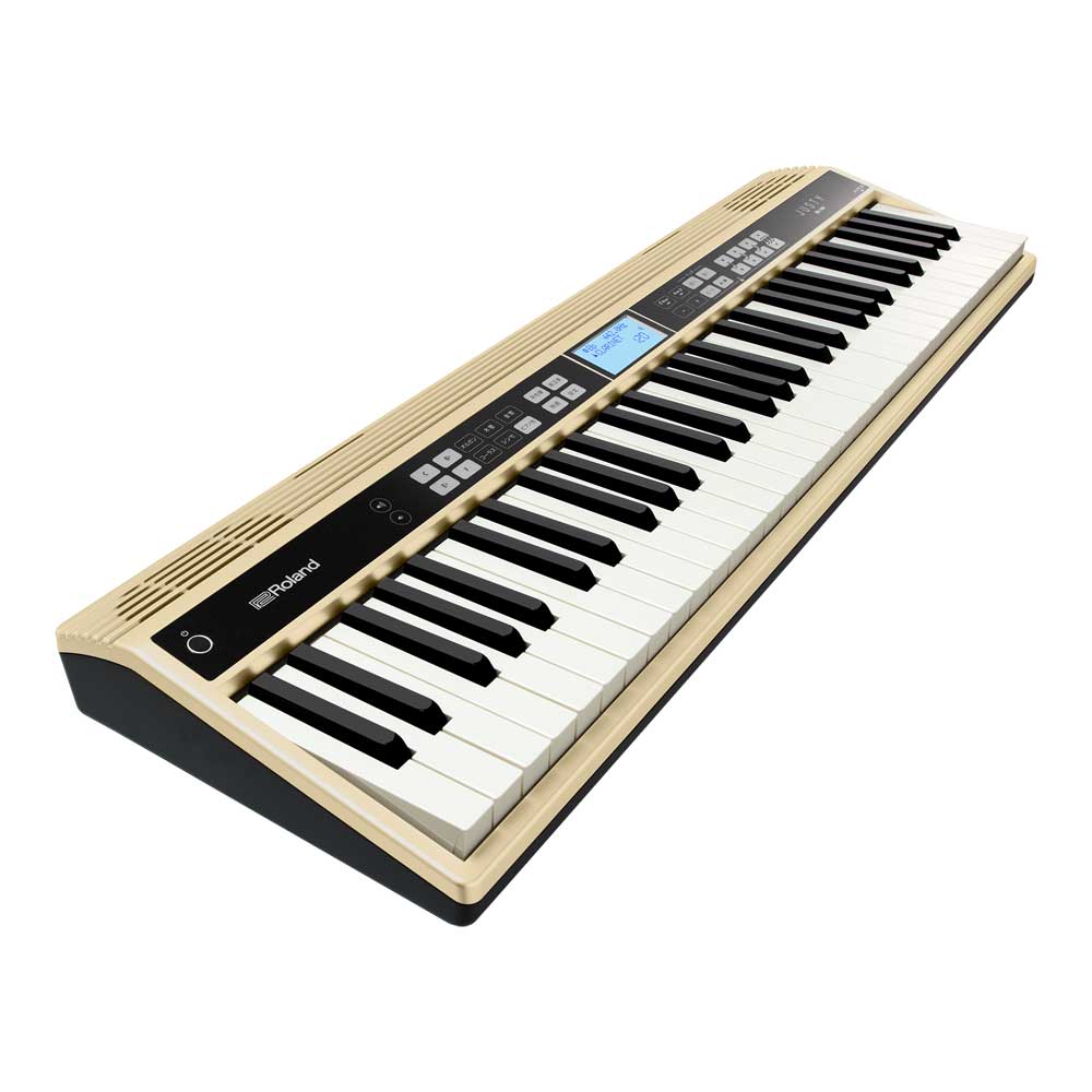 Roland JUSTY HK-100｜ミュージックランドKEY