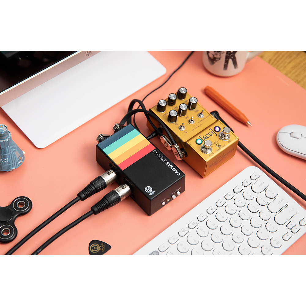 WALRUS AUDIO Canvas Stereo Dual Line Isolator / D.I. (STEREO) [WAL