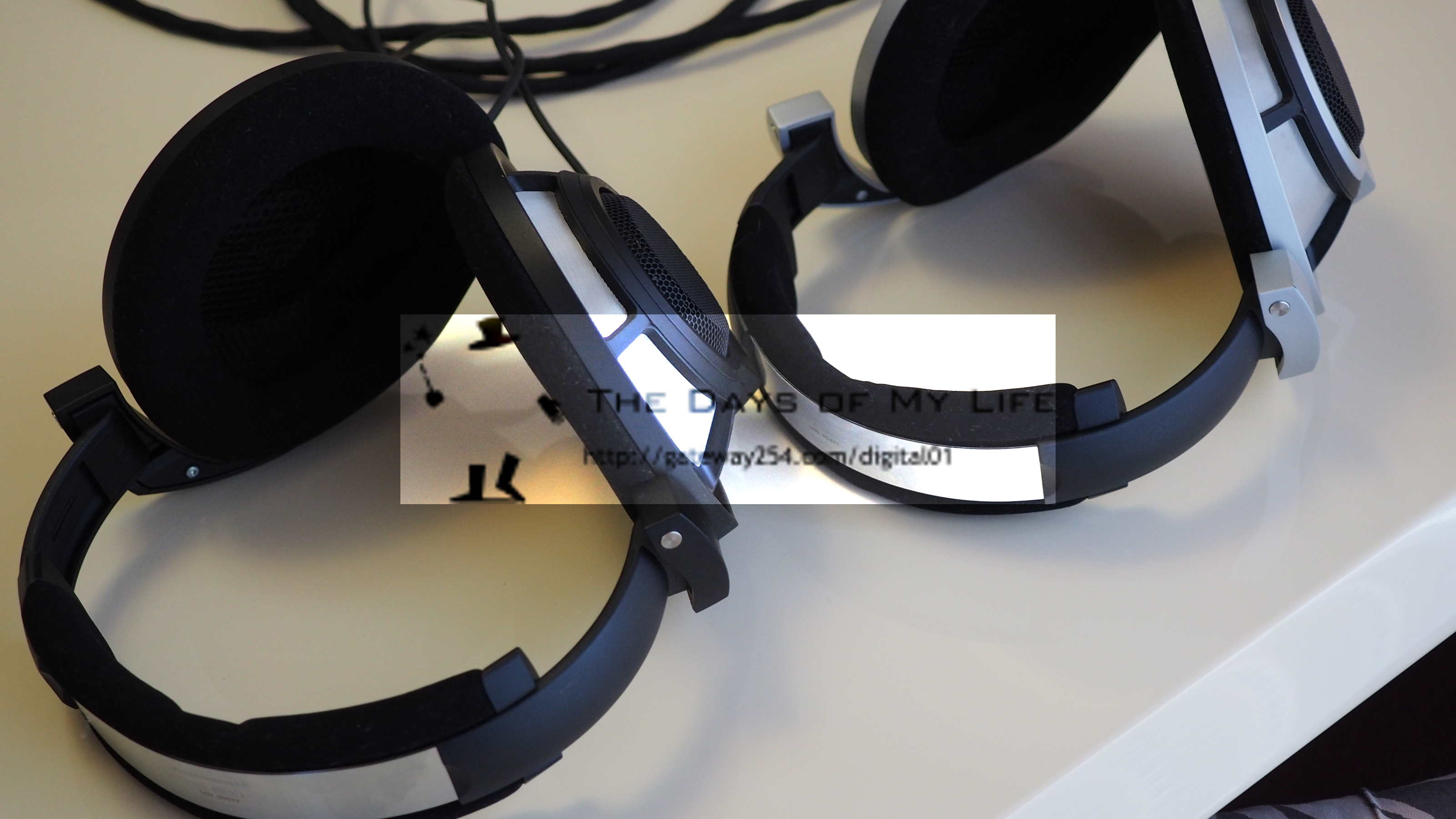 開放型ヘッドホン SENNHEISER HD 800 SとHD 800の聞き比べ | 好きな